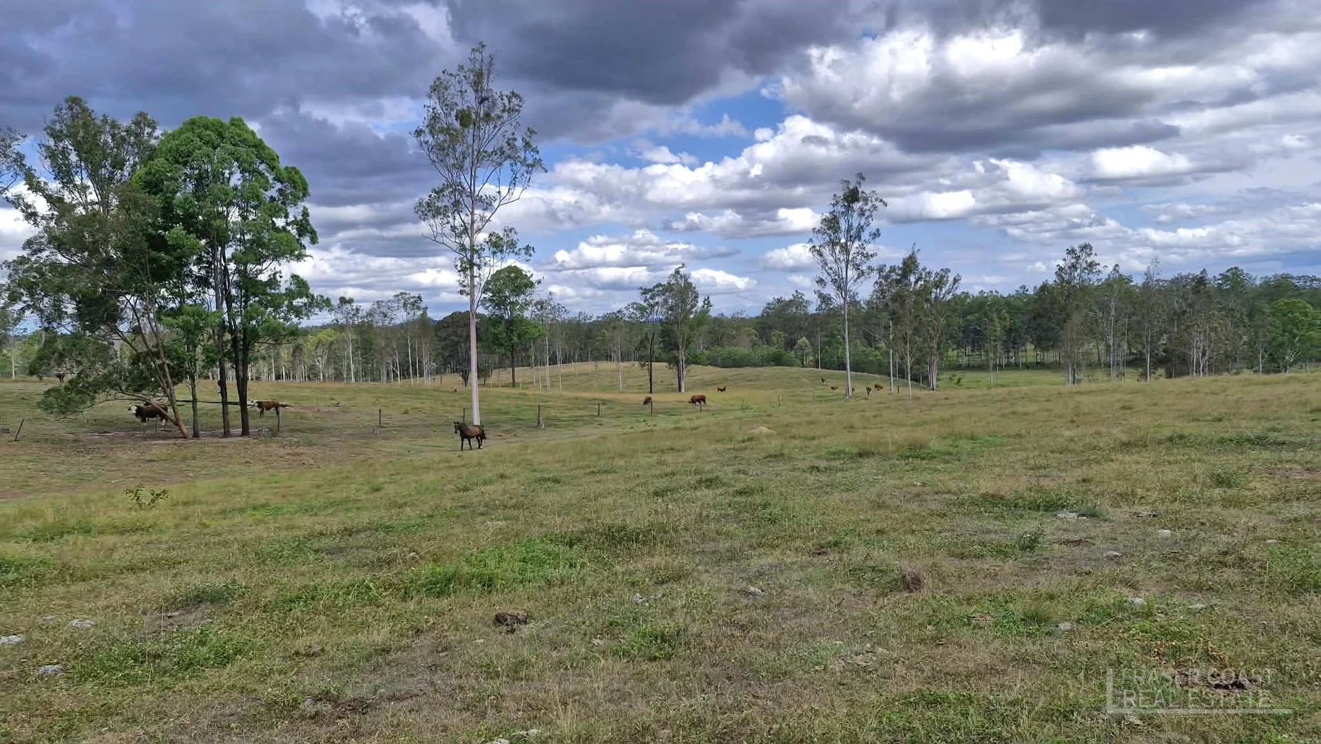 Additional image 8 of 264 Thompson A Road, Woocoo QLD 4620