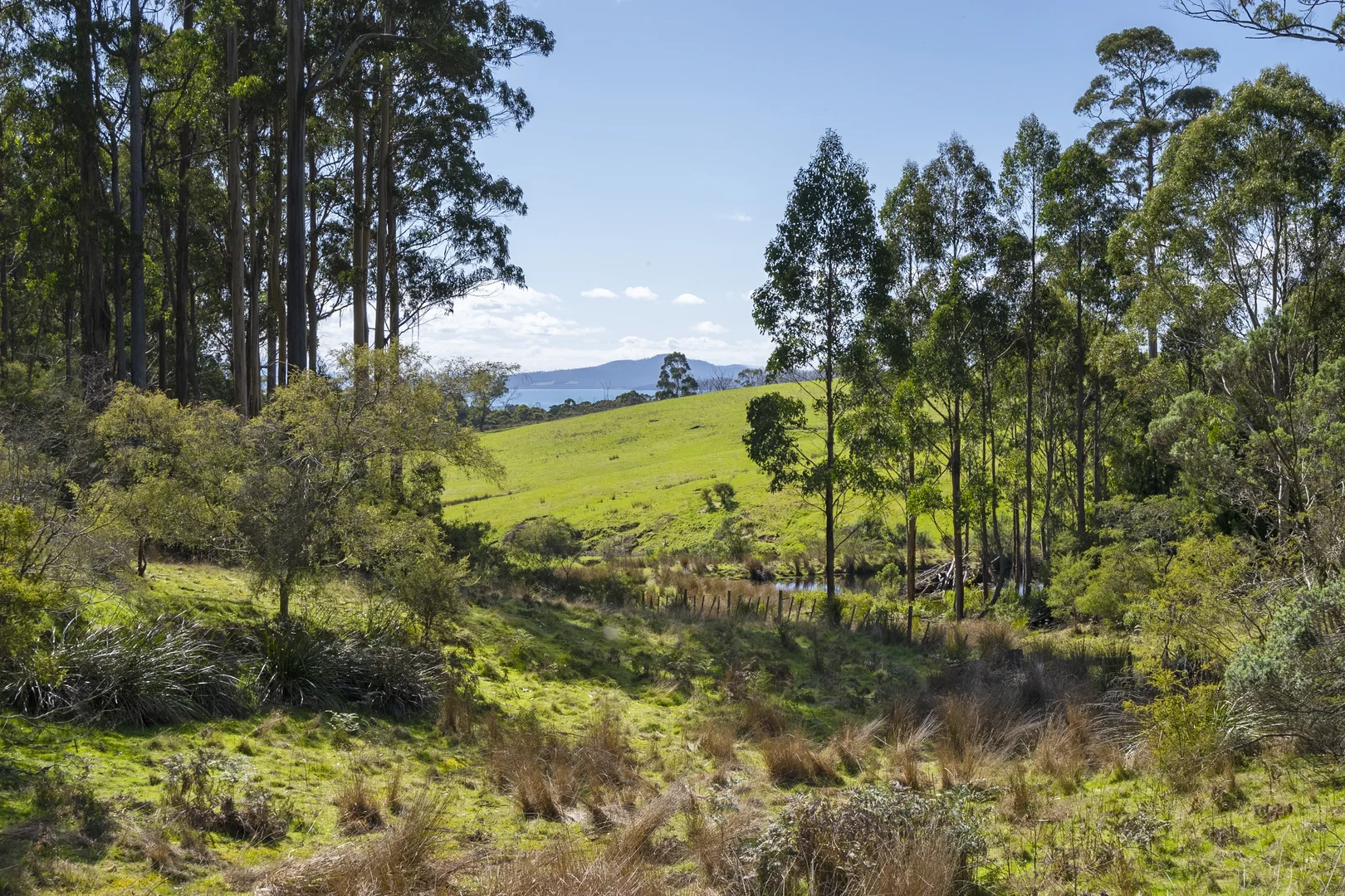 Additional image 17 of 129 Littles Road, Premaydena TAS 7185