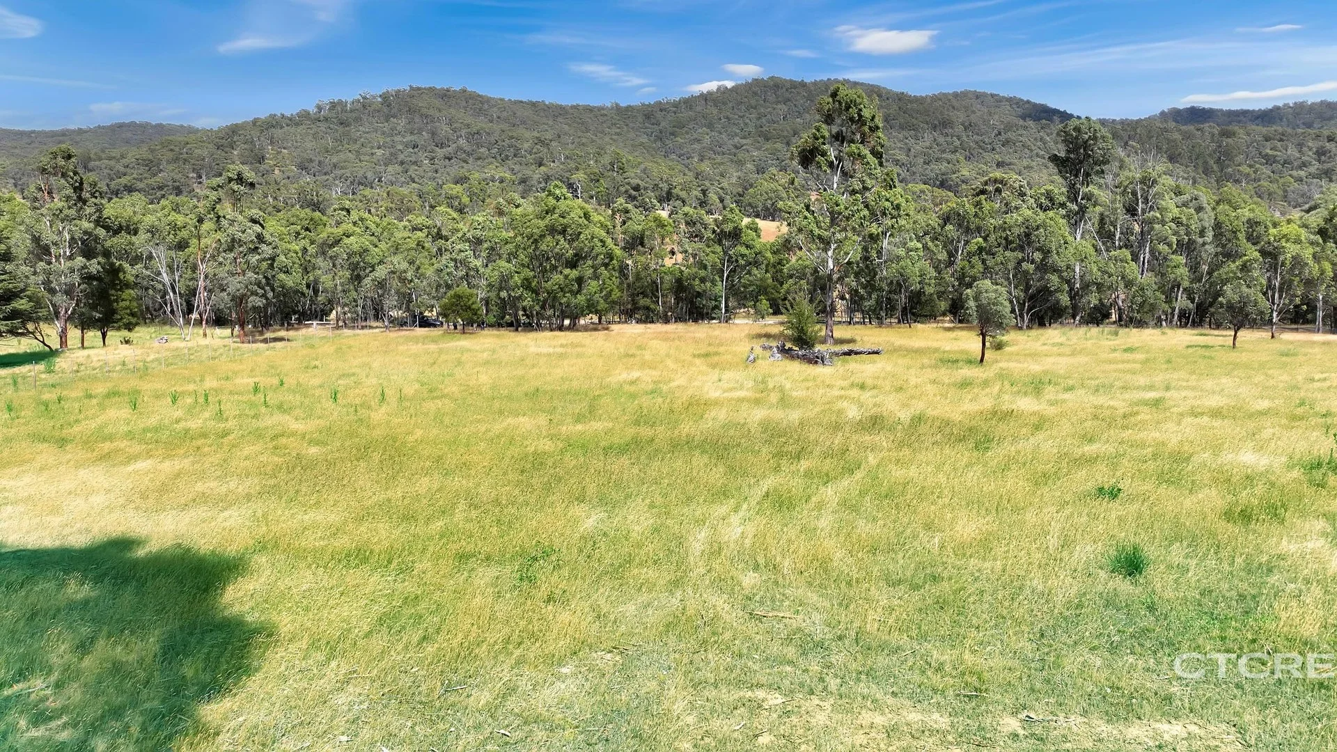 Additional image 3 of 3022 Benambra - Corryong Road, Benambra VIC 3900