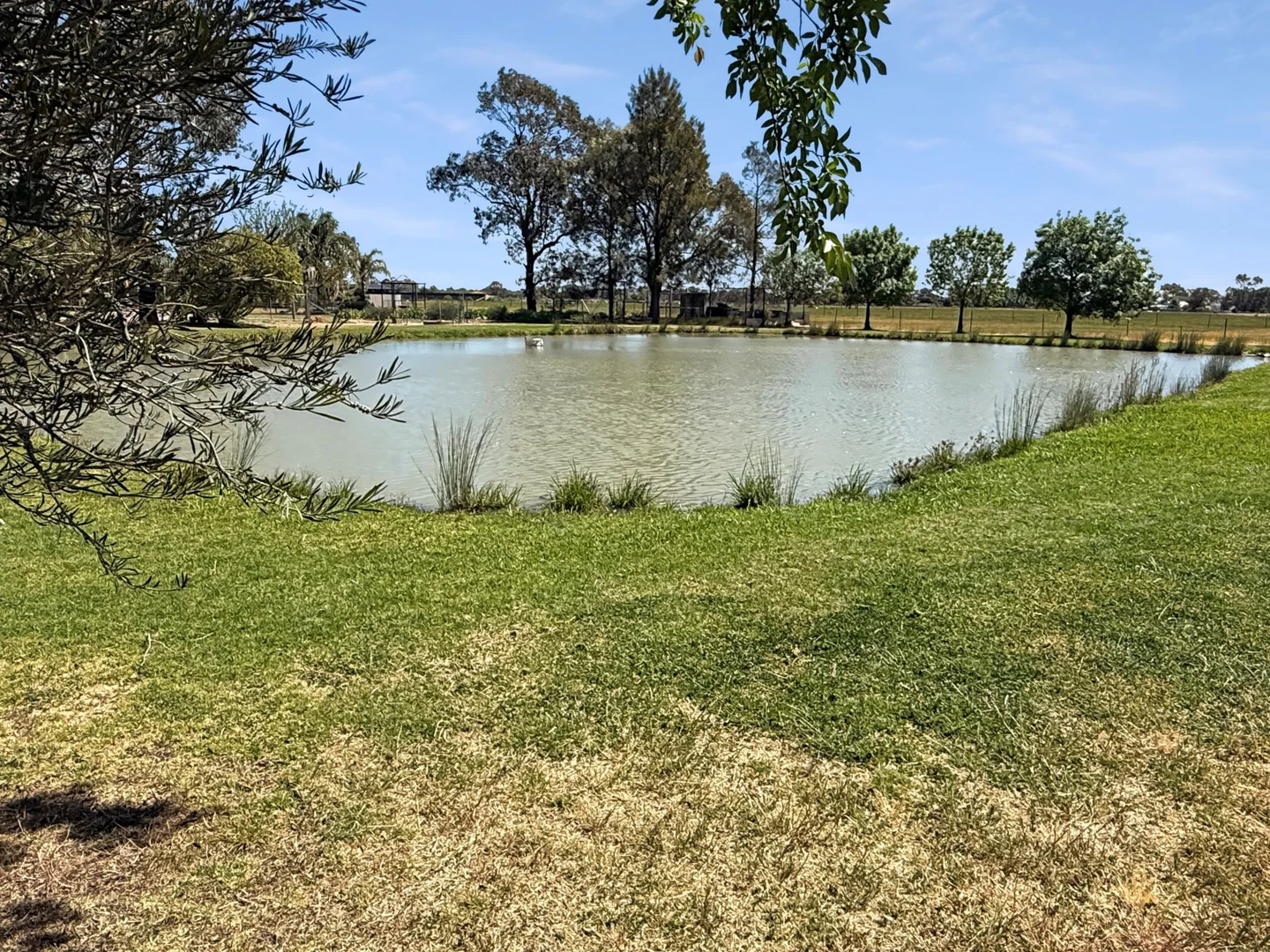 Additional image 17 of 115 Almond Road, Leeton NSW 2705