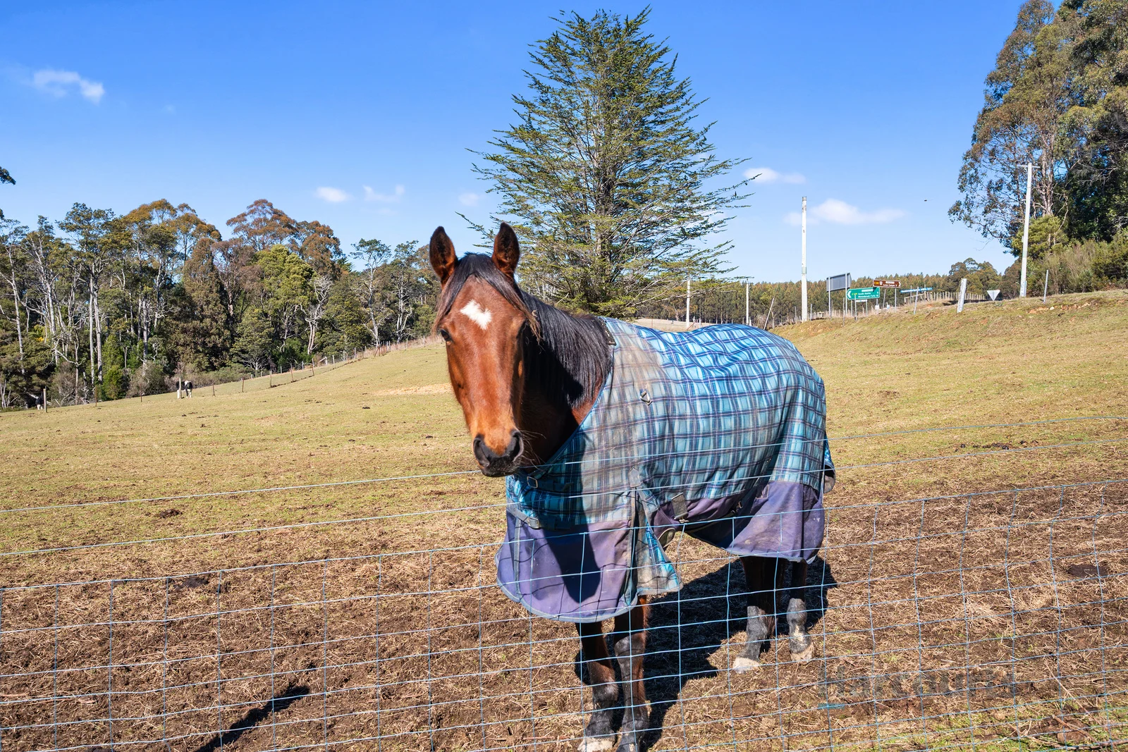 Additional image 14 of 3079 Castra Road, Nietta TAS 7315