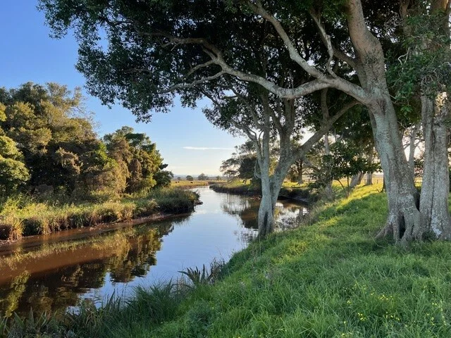 Additional image 4 of 81 Upper Belmore River Rd, Belmore River NSW 2440