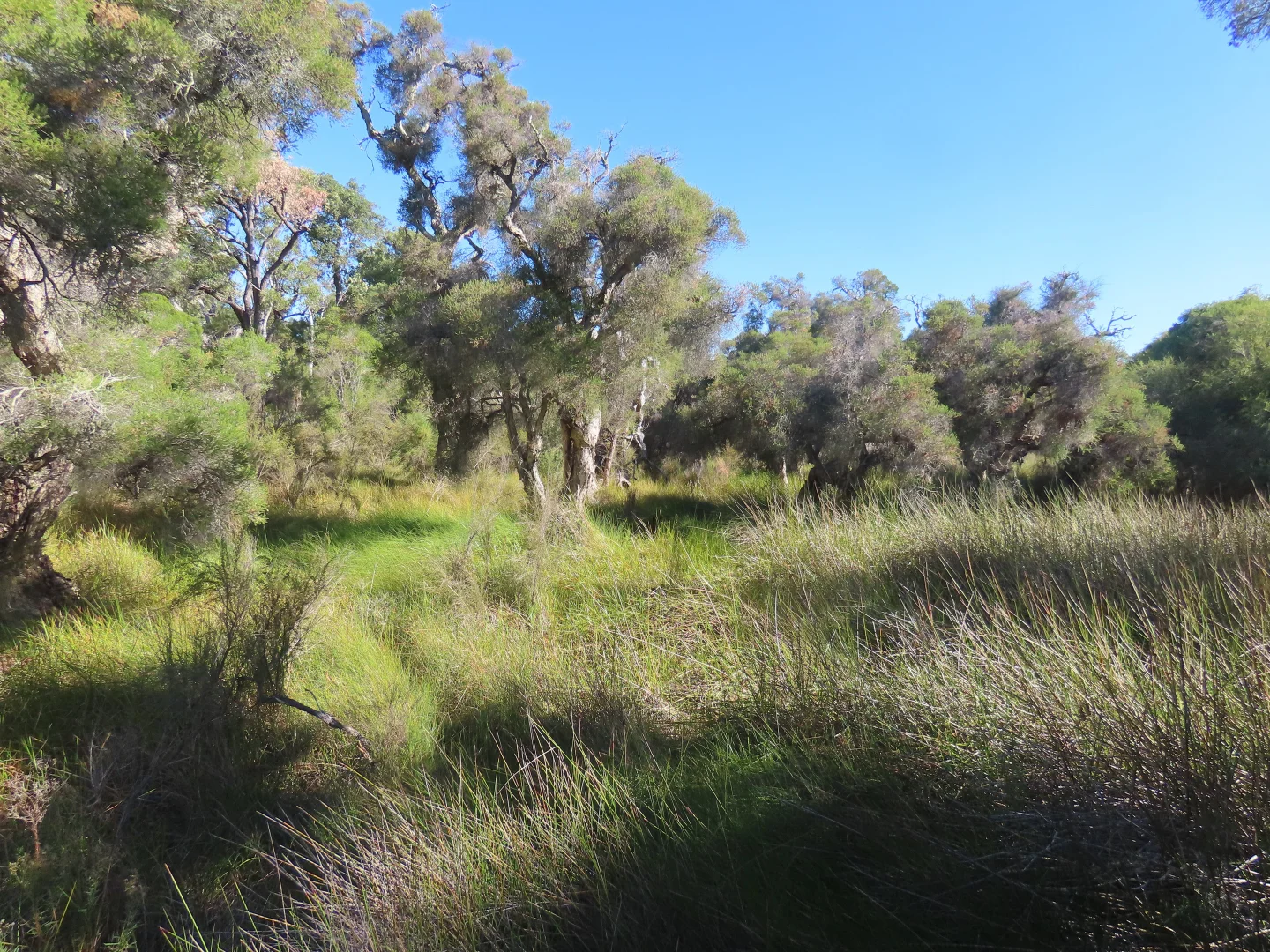 Additional image 15 of West Coolup WA 6214