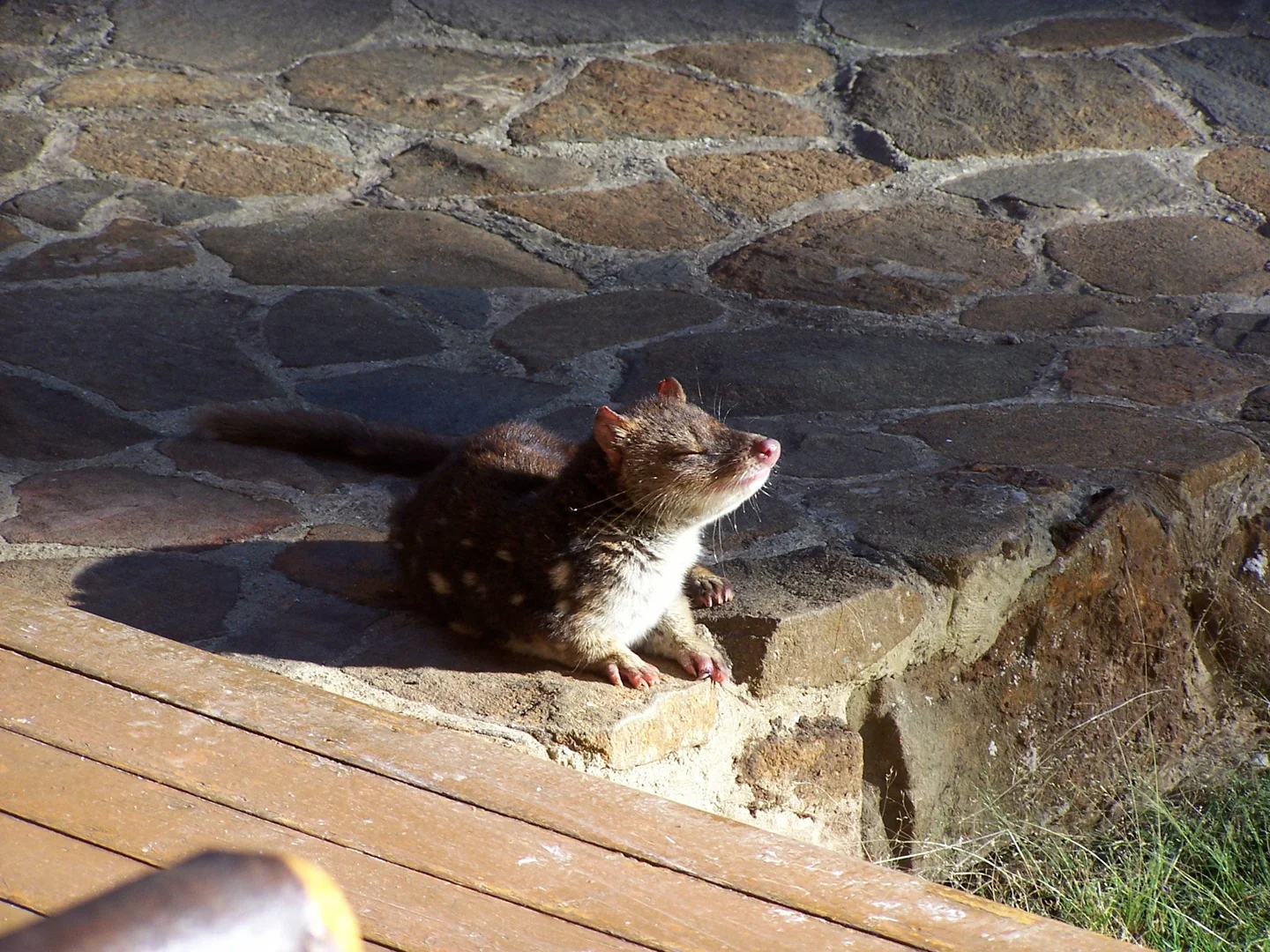 Additional image 22 of 464 Larcombes Road, Reedy Marsh, Deloraine TAS 7304