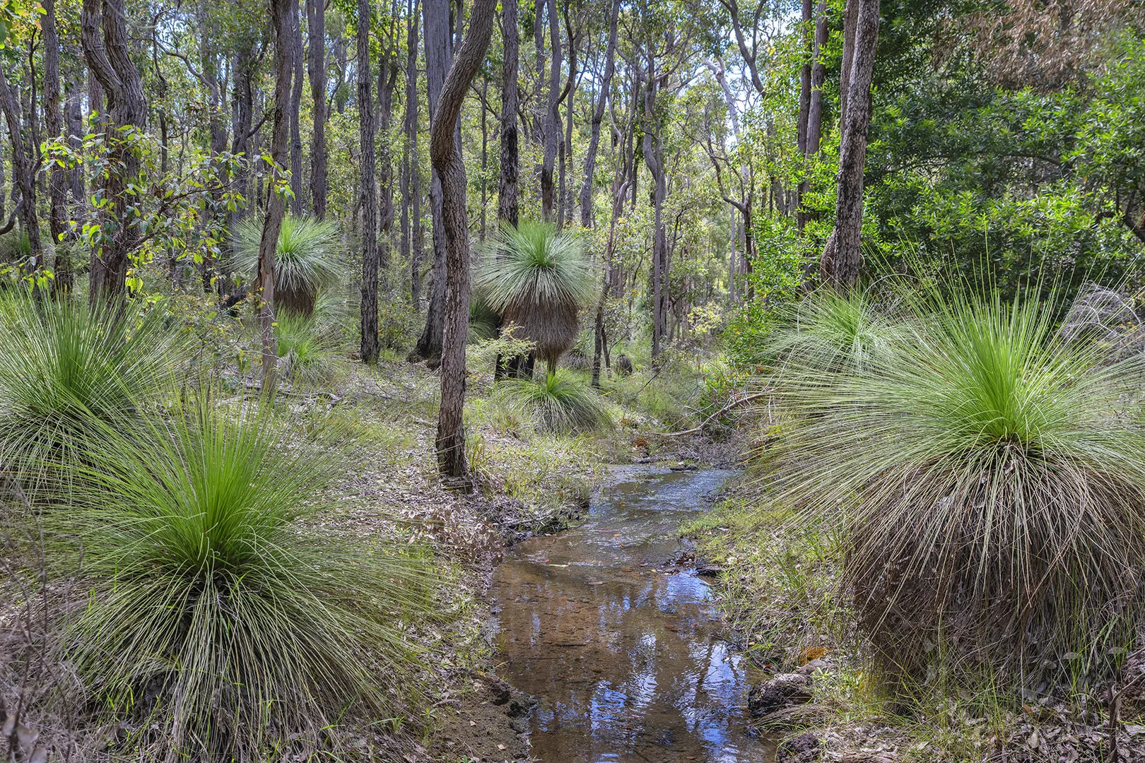 Additional image 23 of 45 Mount Leeuwin Loop Road, Carlotta WA 6275