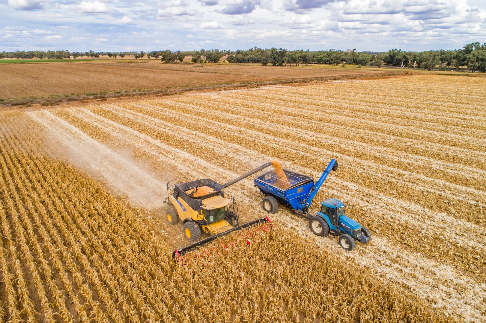 Additional image 15 of 4005 Lachlan Valley Way, Forbes NSW 2871