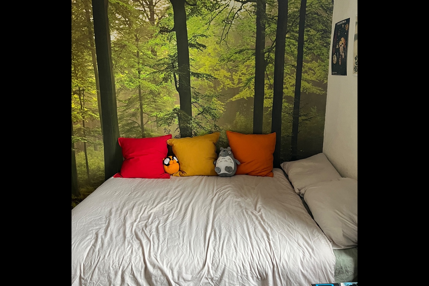 Additional image 8 of Room in a Shared Flat, Cheltenham Road, BS6, N1 7GU