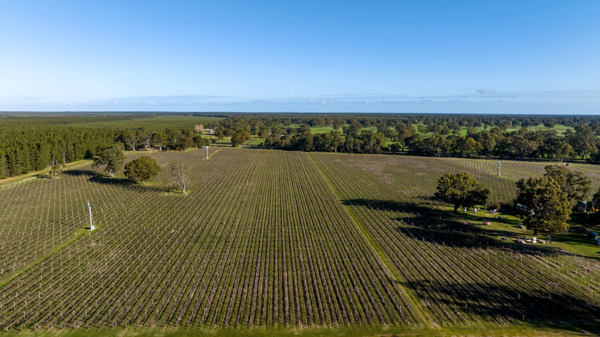 Additional image 3 of 719 Casterton Road, Penola SA 5277
