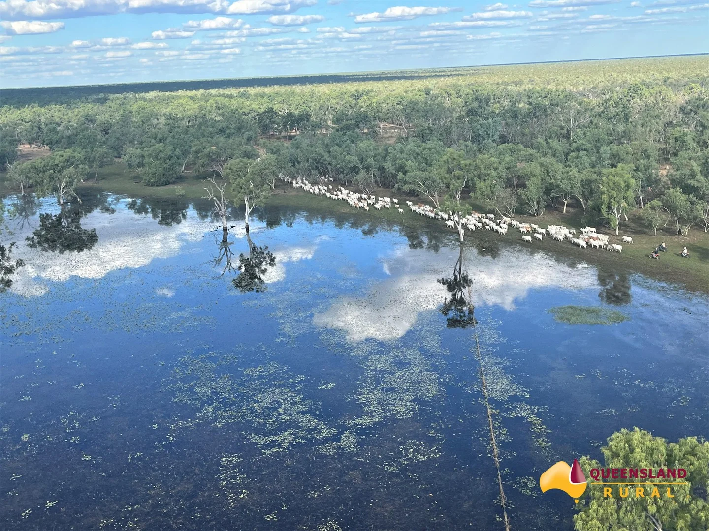 Normanton QLD 4890
