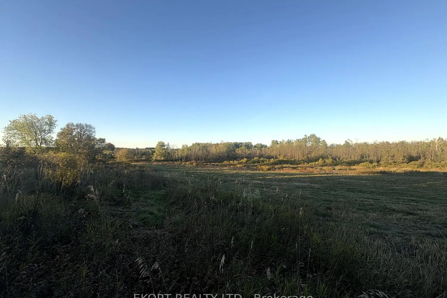 Additional image 5 of 309 Vanderwater Road