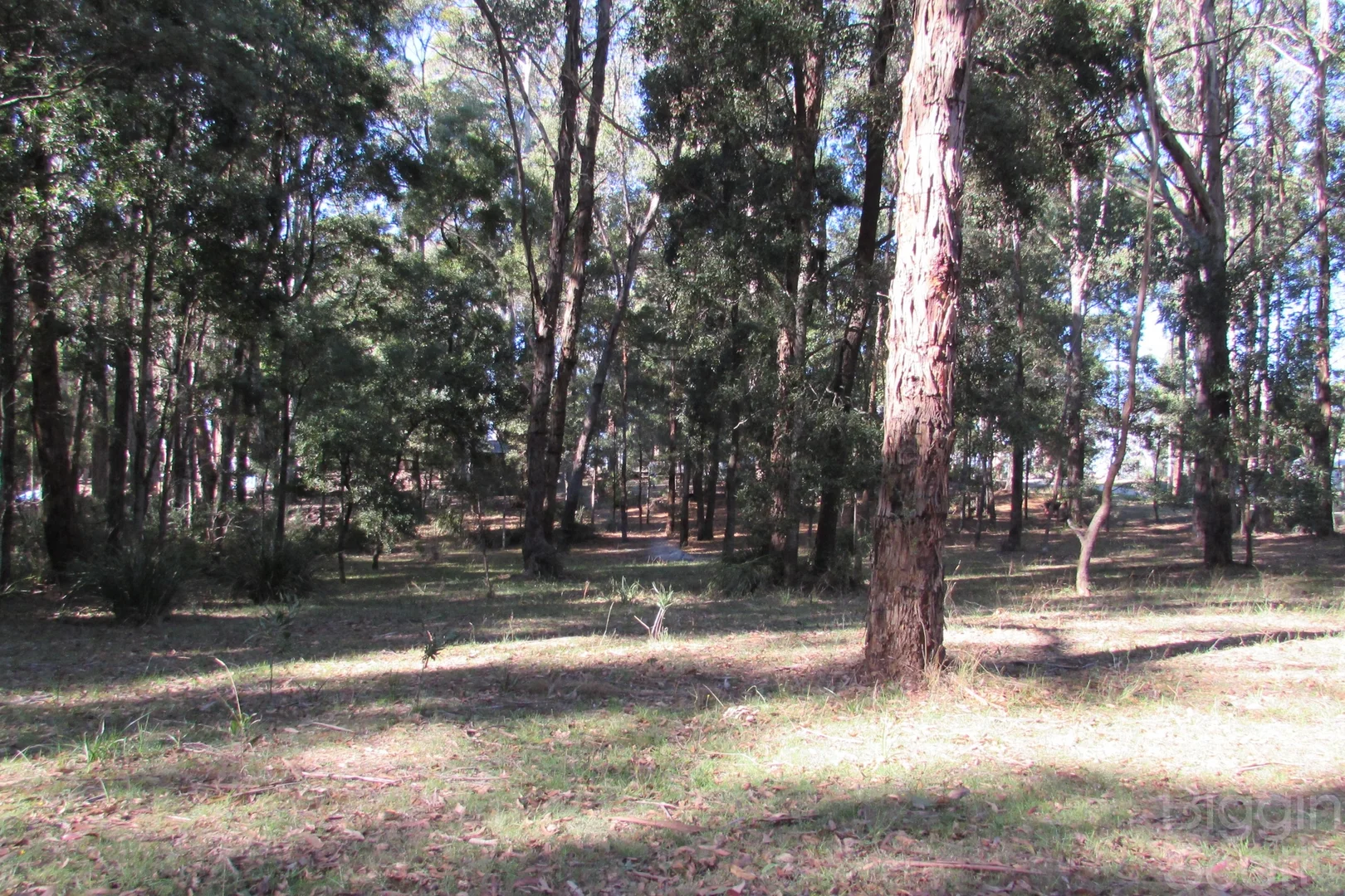 Additional image 12 of 14 Radium Avenue, Sailors Falls VIC 3461