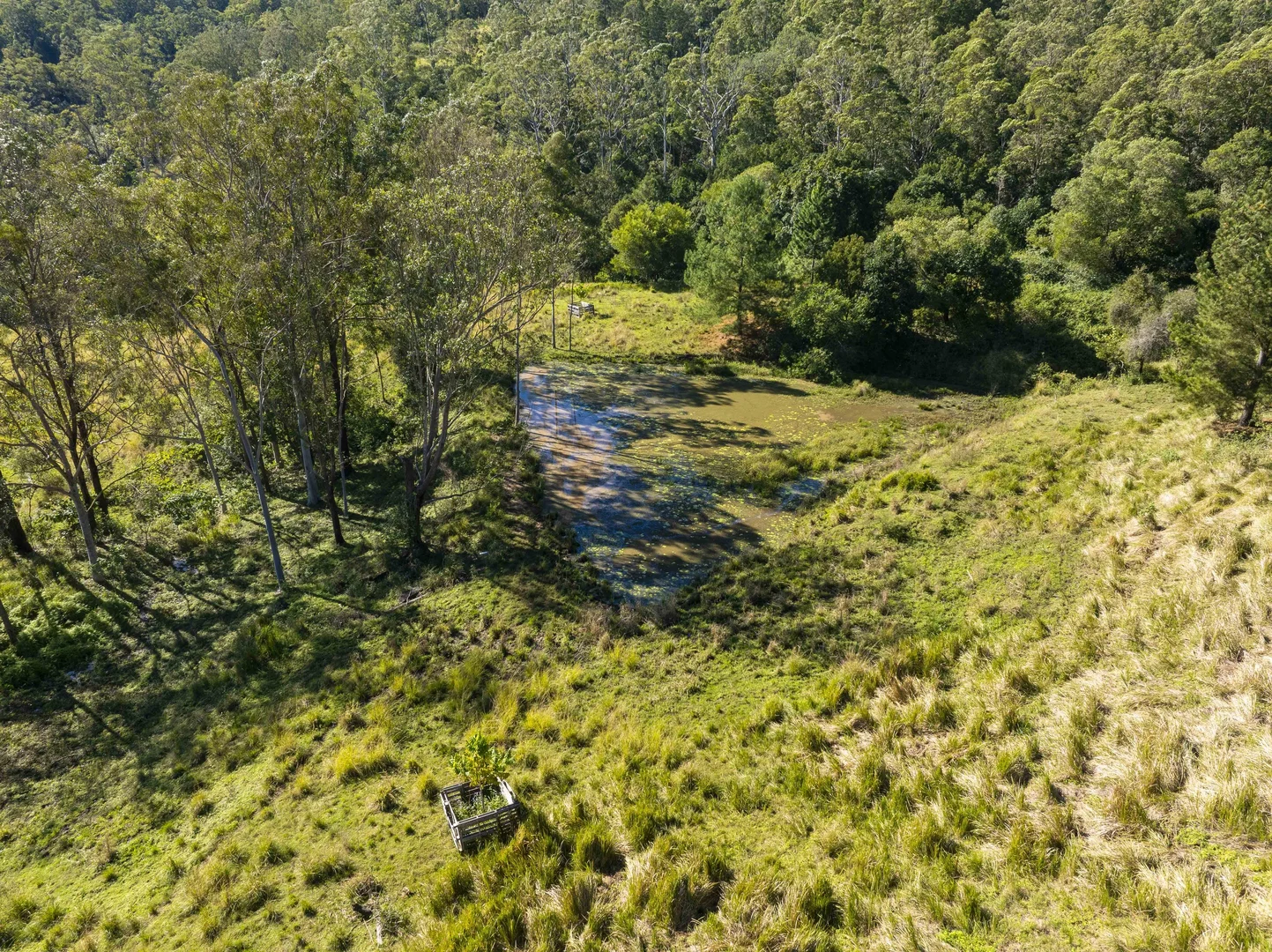 Additional image 38 of 1122 Nimbin Road, Koonorigan NSW 2480
