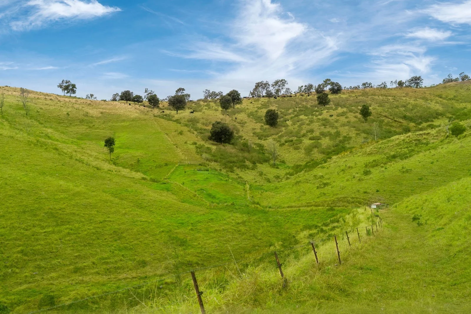 Additional image 9 of 1679 Ingoldsby Road, Ingoldsby QLD 4343