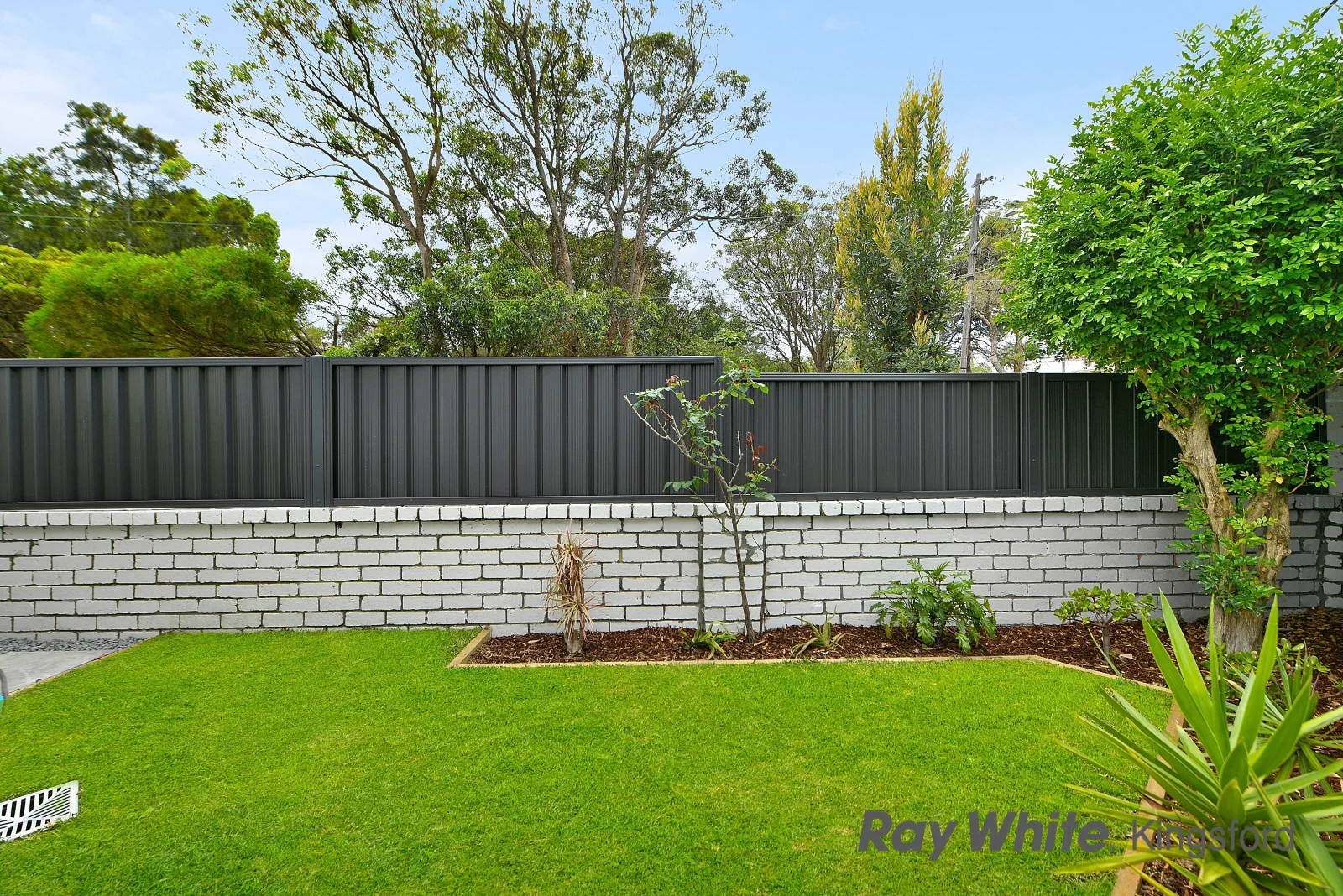 Additional image 6 of 36 Hincks Street, Kingsford NSW 2032