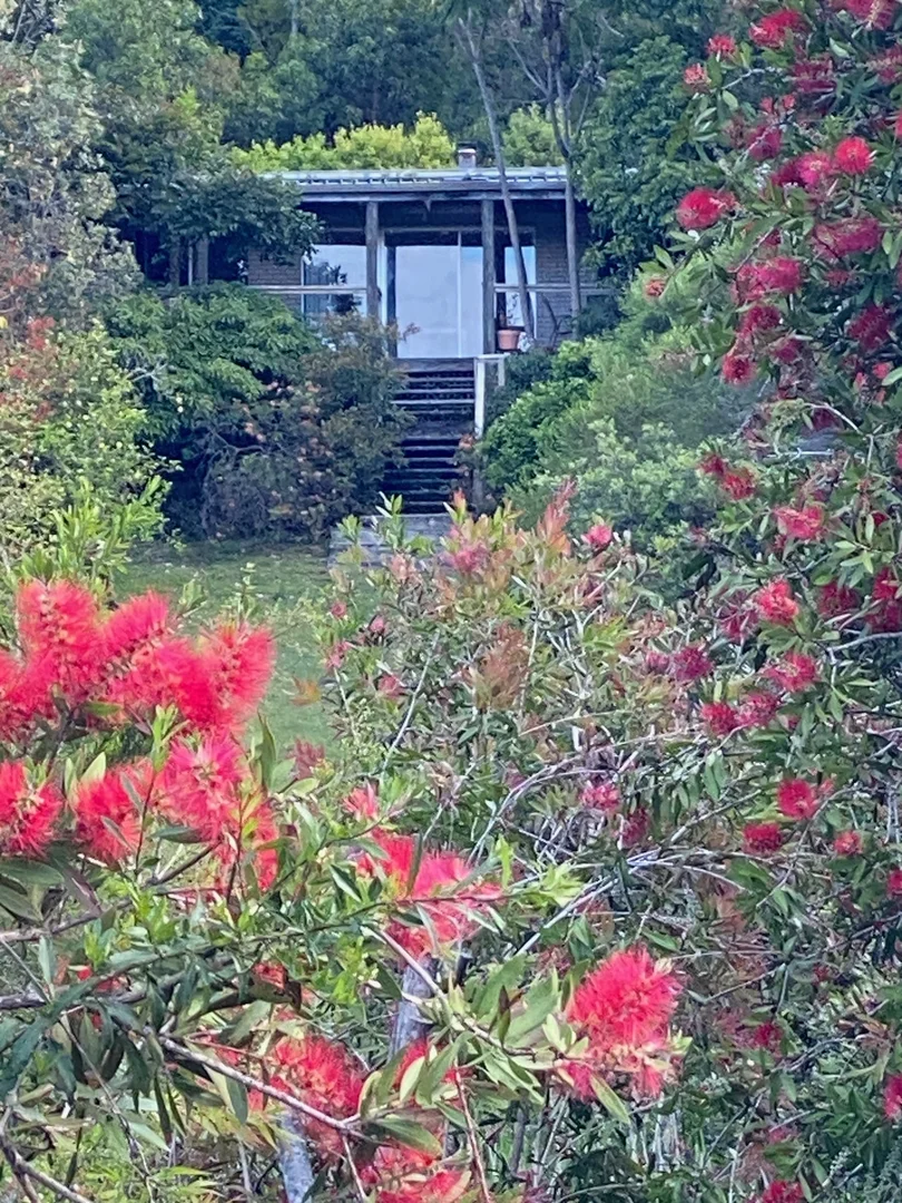 Additional image 16 of 6 Anglers Drive, Gipsy Point VIC 3891