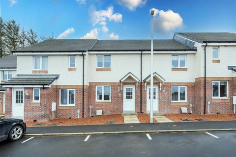 Newcomen Gardens, Cambuslang, Glasgow G72