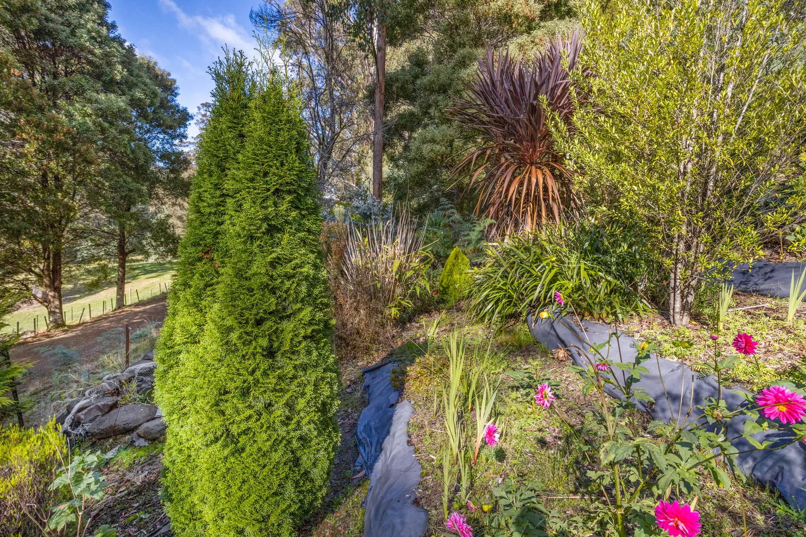 Additional image 11 of 1 Smiths Road, Nicholls Rivulet TAS 7112