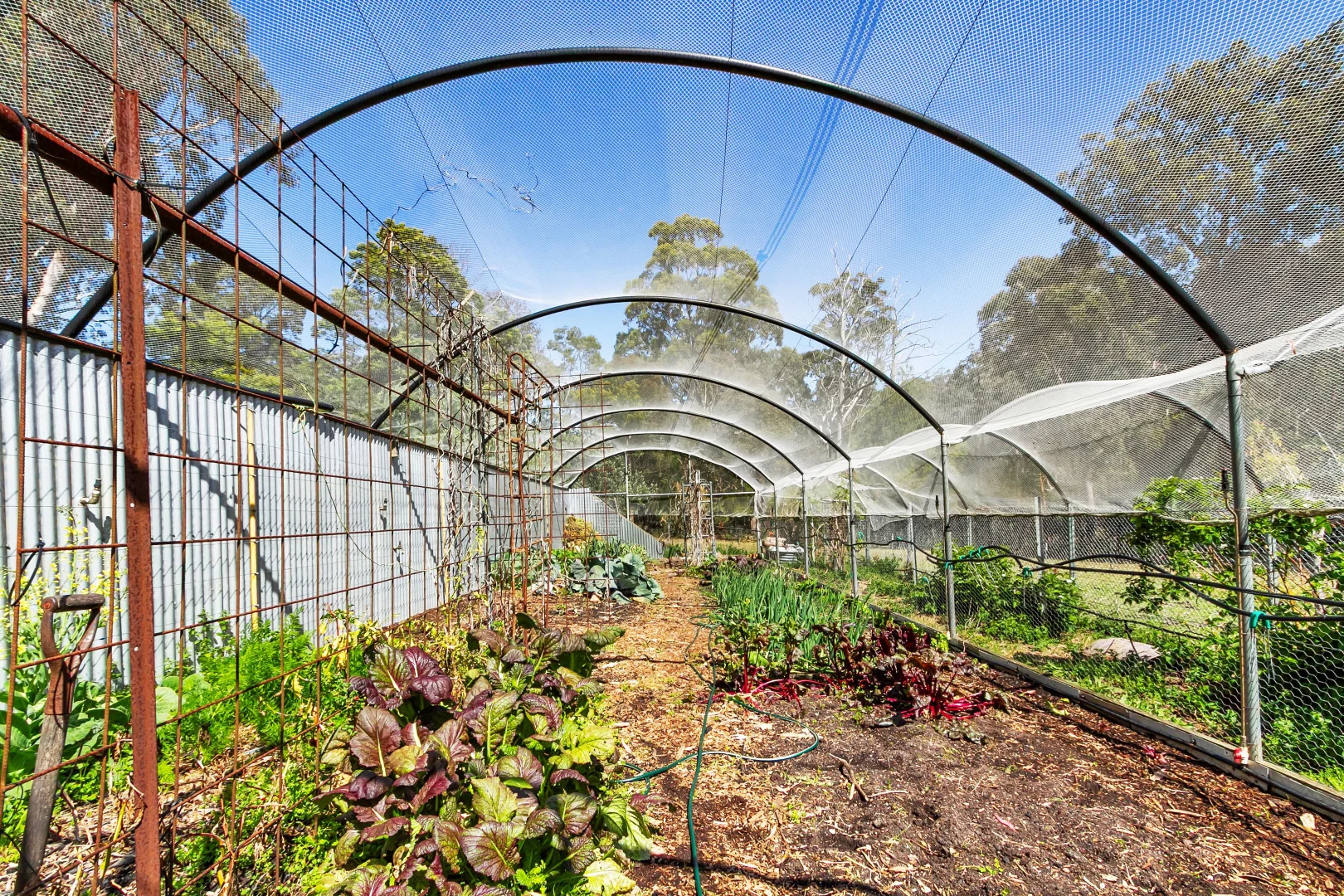 Additional image 25 of 65-73 Mill Point Road, Toorloo Arm VIC 3909