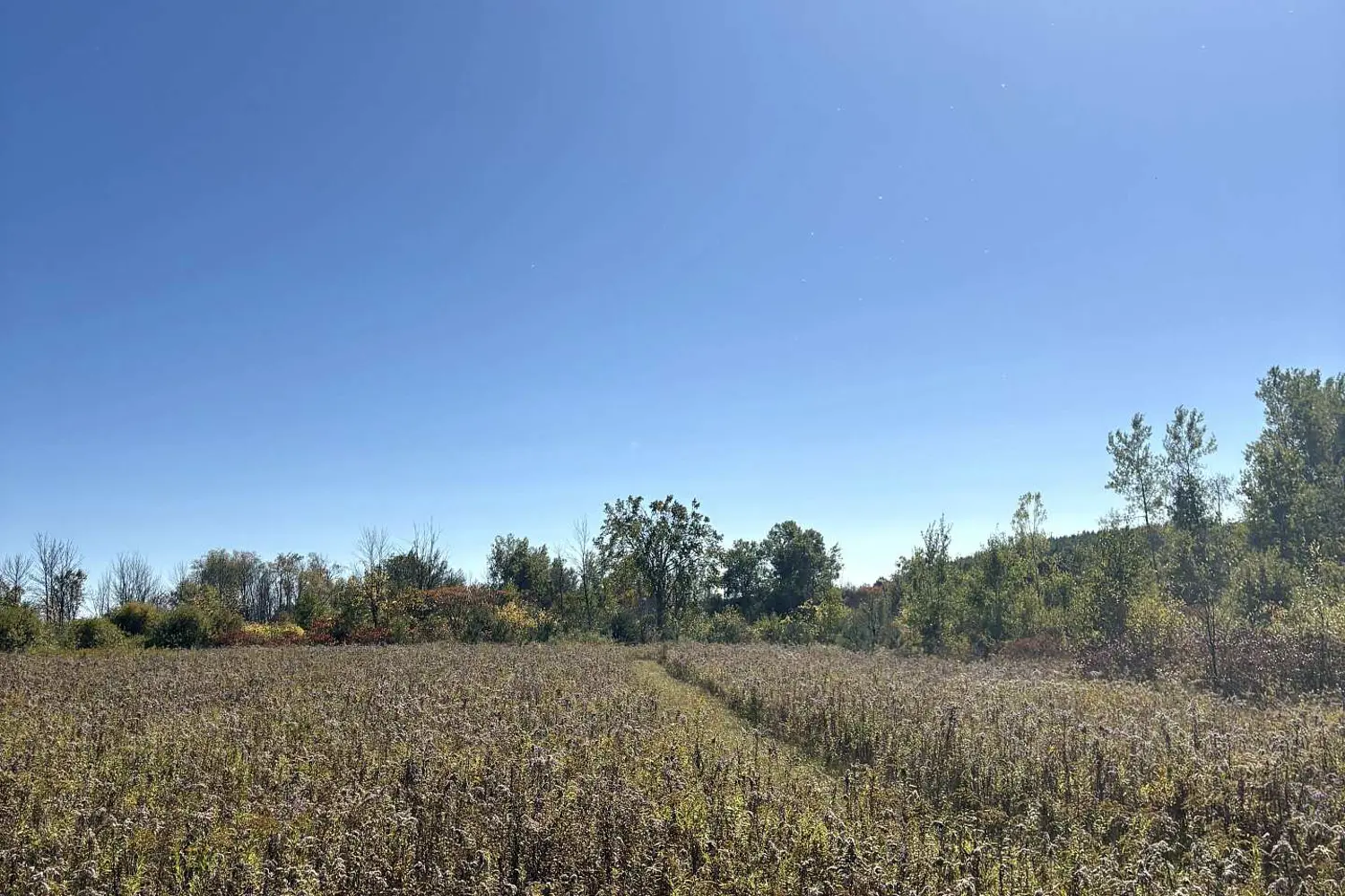 Additional image 6 of 309 Vanderwater Road