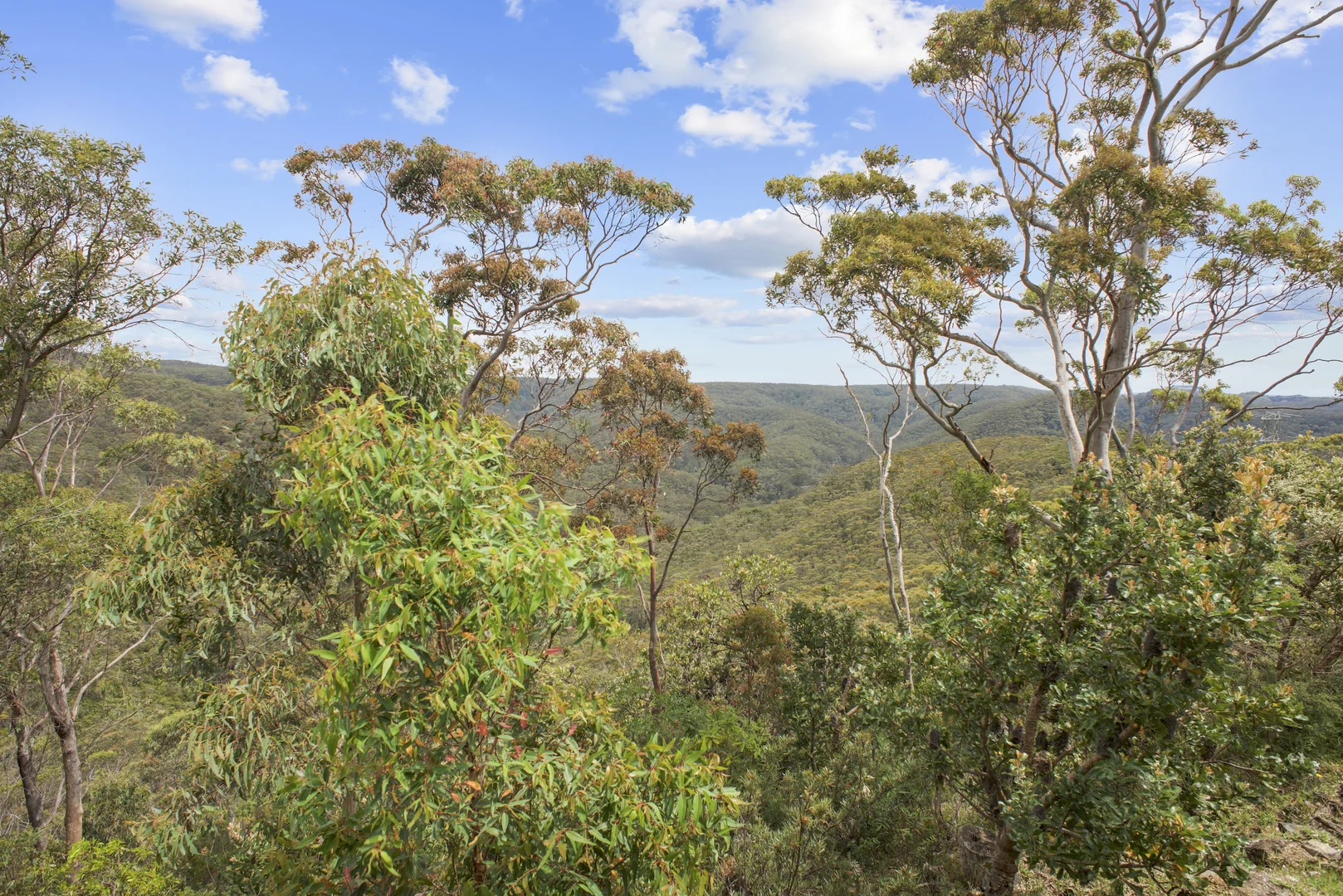 Additional image 19 of 42 Edward Parade, Wentworth Falls NSW 2782