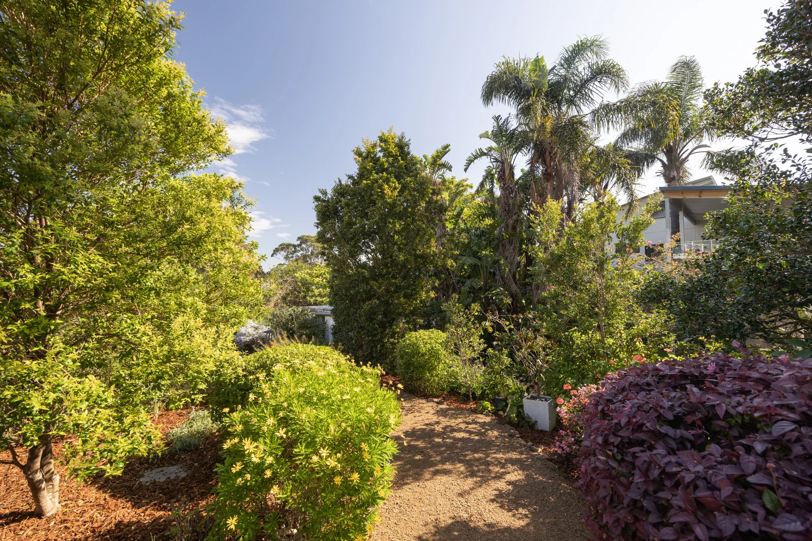 Additional image 34 of 3 Marloo Avenue, Bawley Point NSW 2539