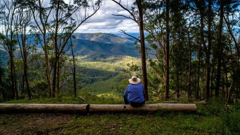 Additional image 34 of 224 Wallaroo Range Road, Willsons Downfall NSW 2372