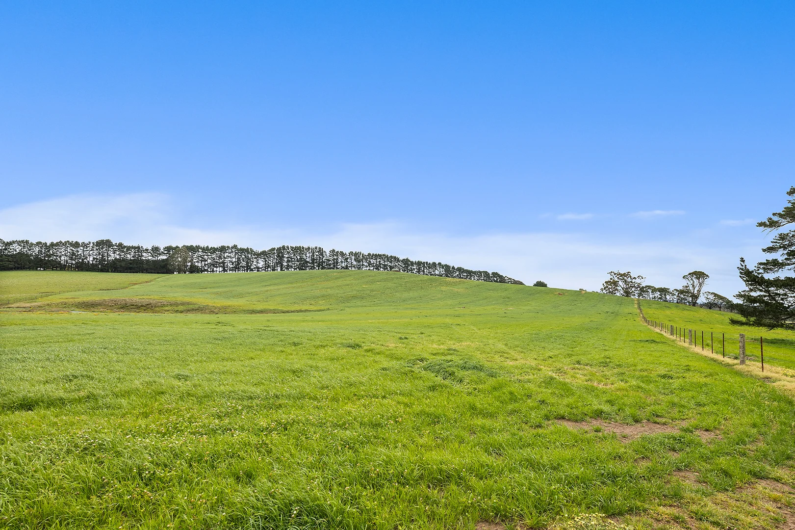 Additional image 13 of Exeter NSW 2579