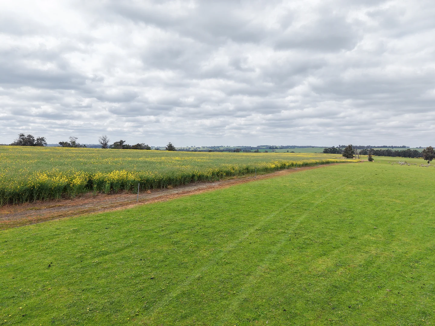 Additional image 22 of 495 Narlingup Road, Qualeup WA 6394