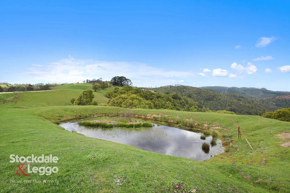 Additional image 26 of 265 Townsends Road, Budgeree VIC 3870