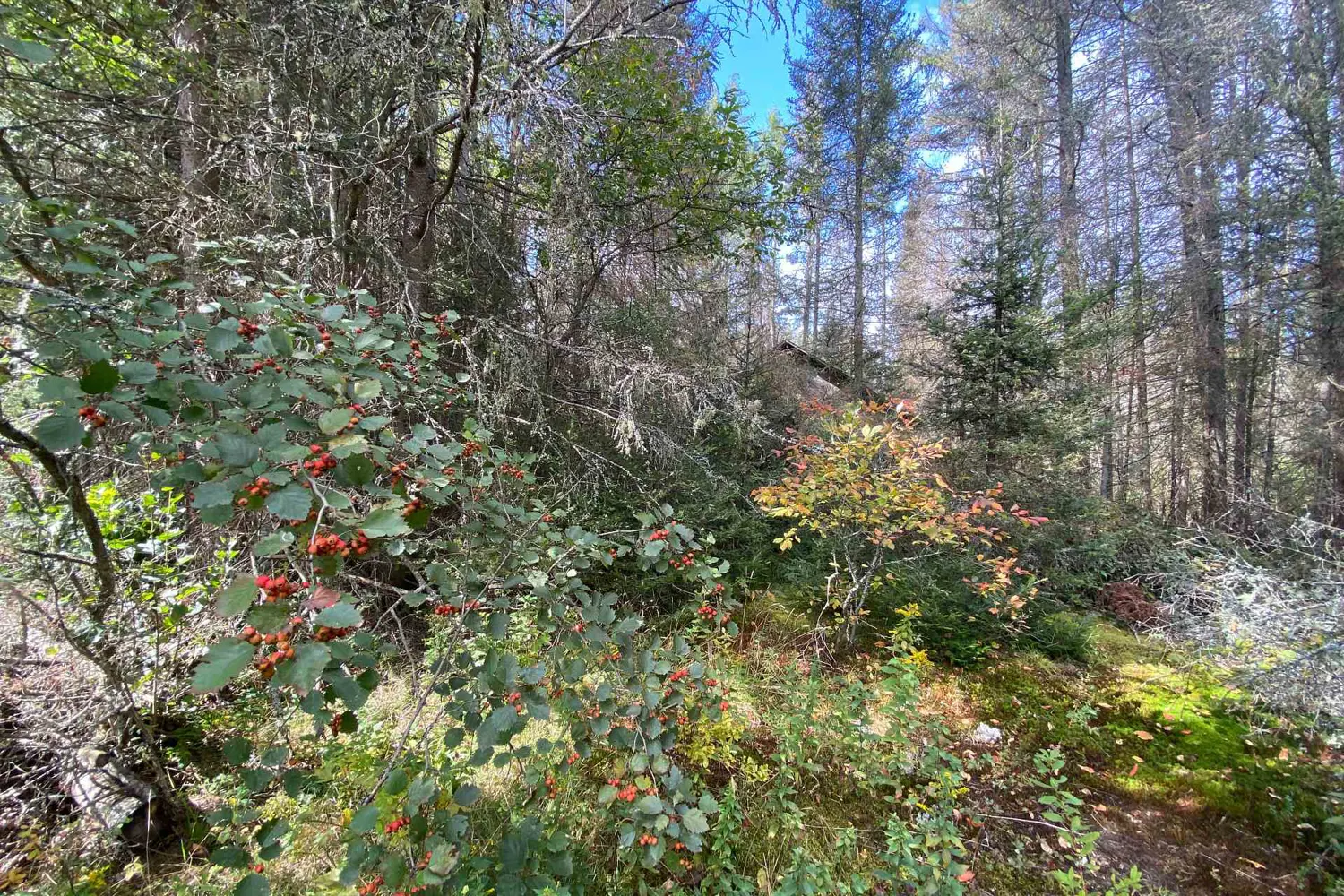 Additional image 11 of 0 Municipal Road
