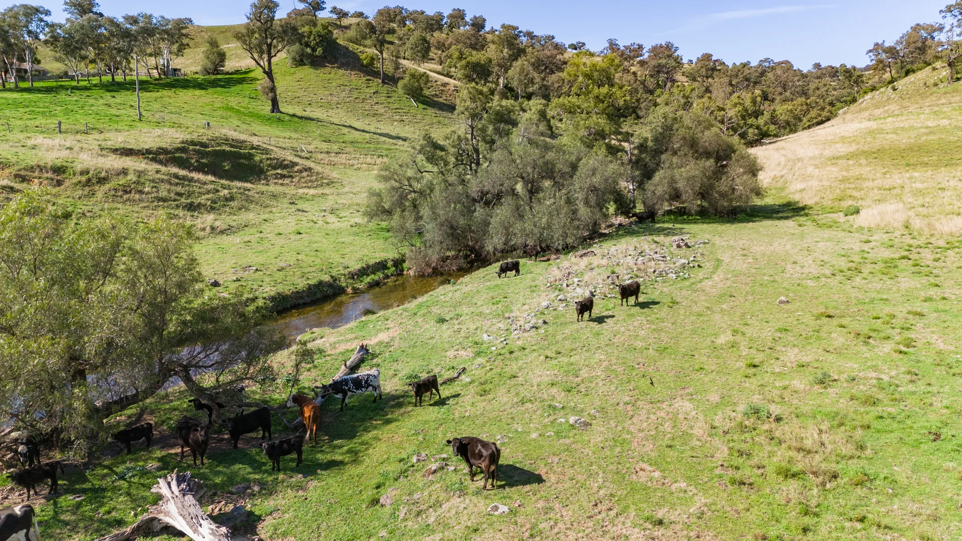 Additional image 12 of 180 Stoney Creek Rd, Rouchel via, Aberdeen NSW 2336