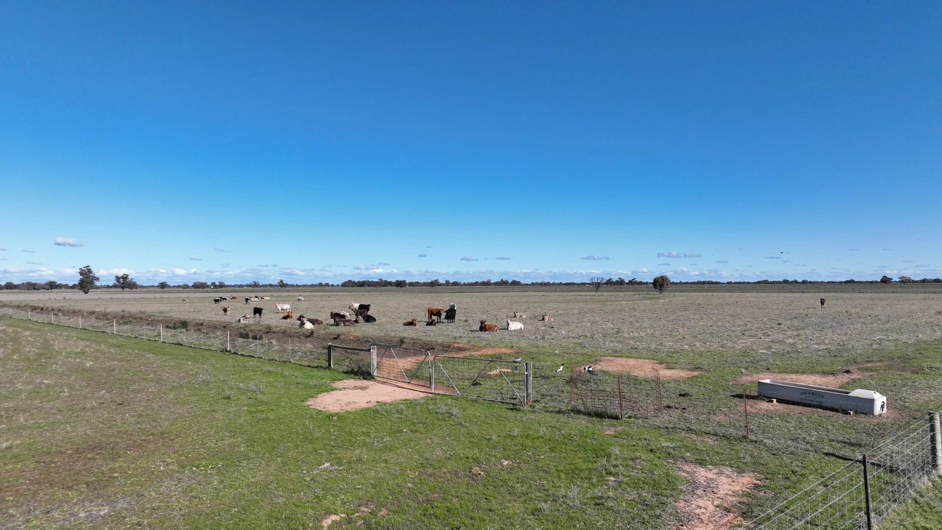 Additional image 42 of Shady Gums Birganbigil Road, Deniliquin NSW 2710
