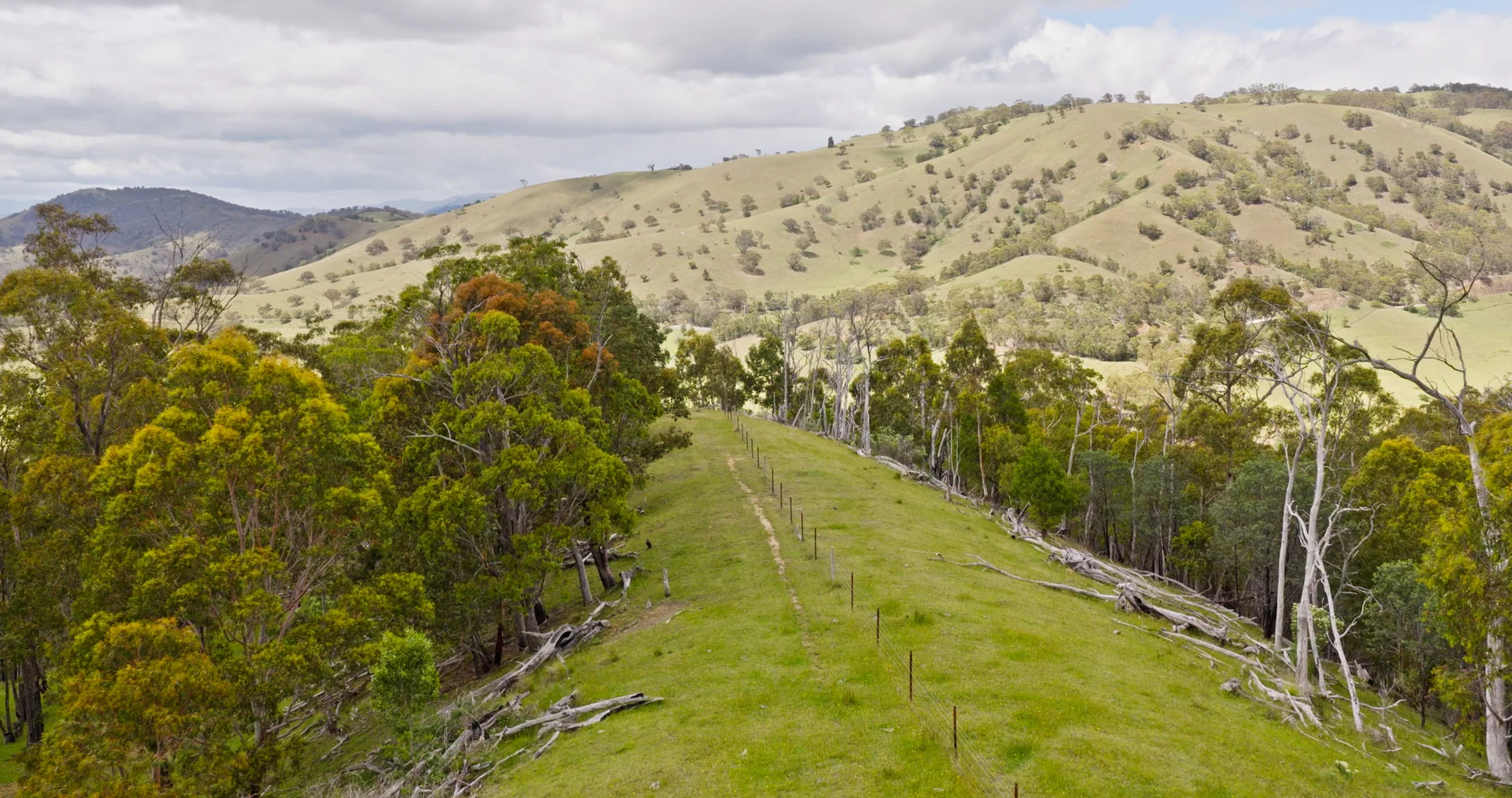 Additional image 16 of Lot 3 - 289 Tongio Gap Road, Tongio VIC 3896