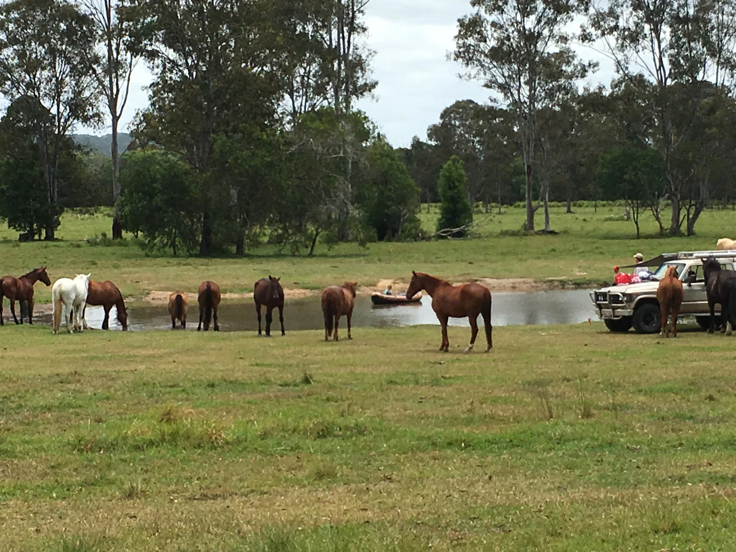 Additional image 8 of Cootharaba QLD 4565