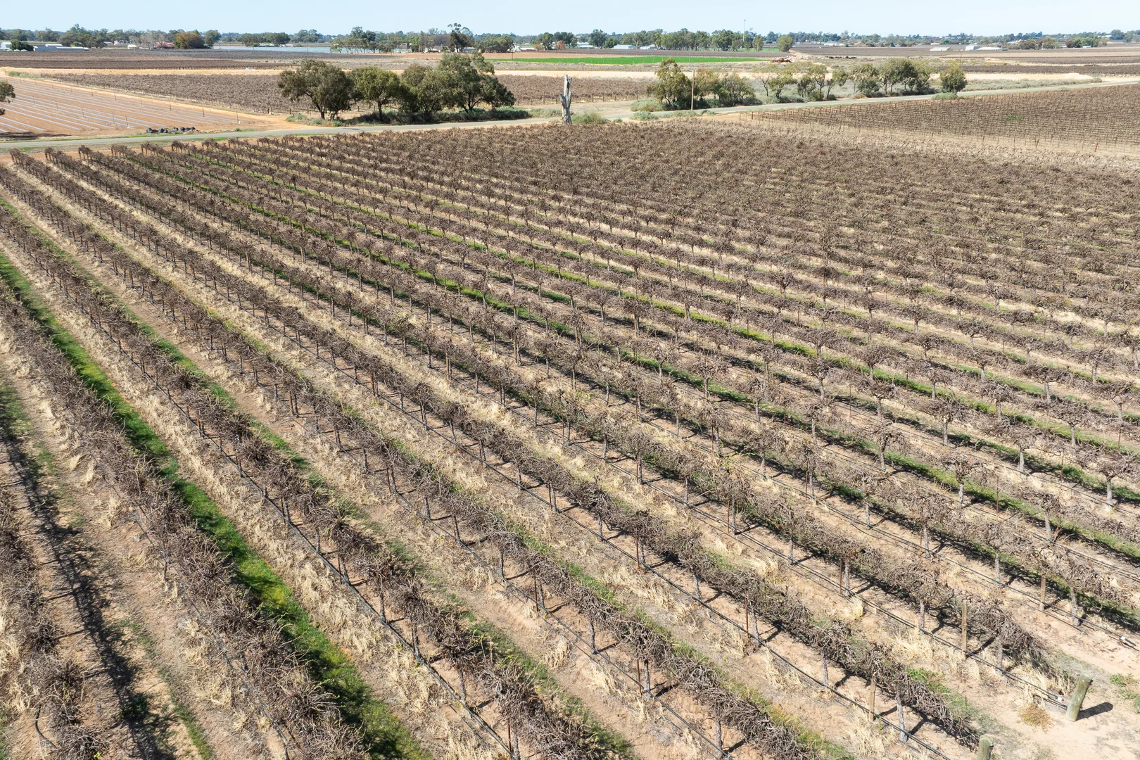 Additional image 40 of 41 Wutke Road, Cobdogla SA 5346