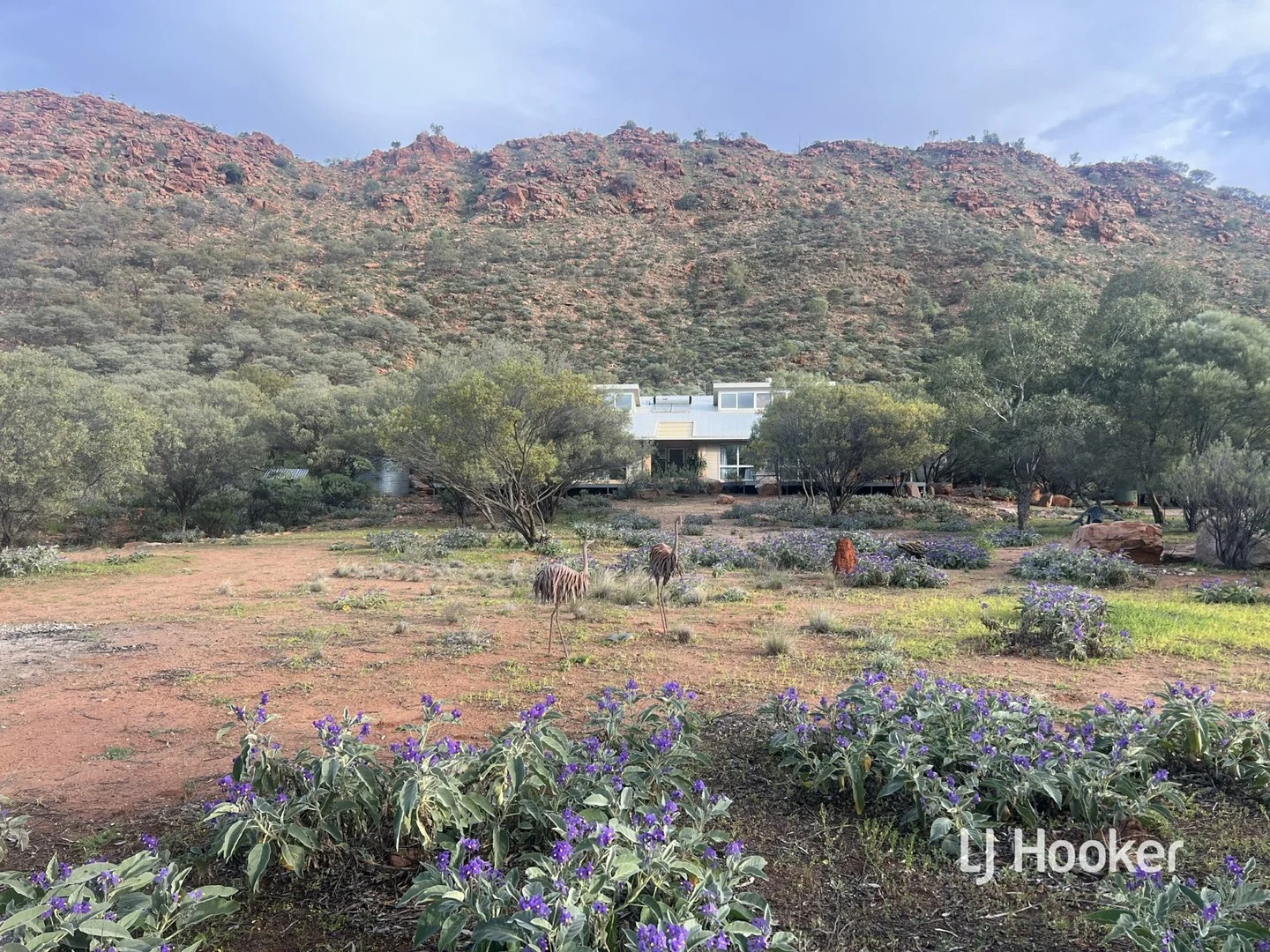 989 Ilparpa Road, White Gums NT 0870