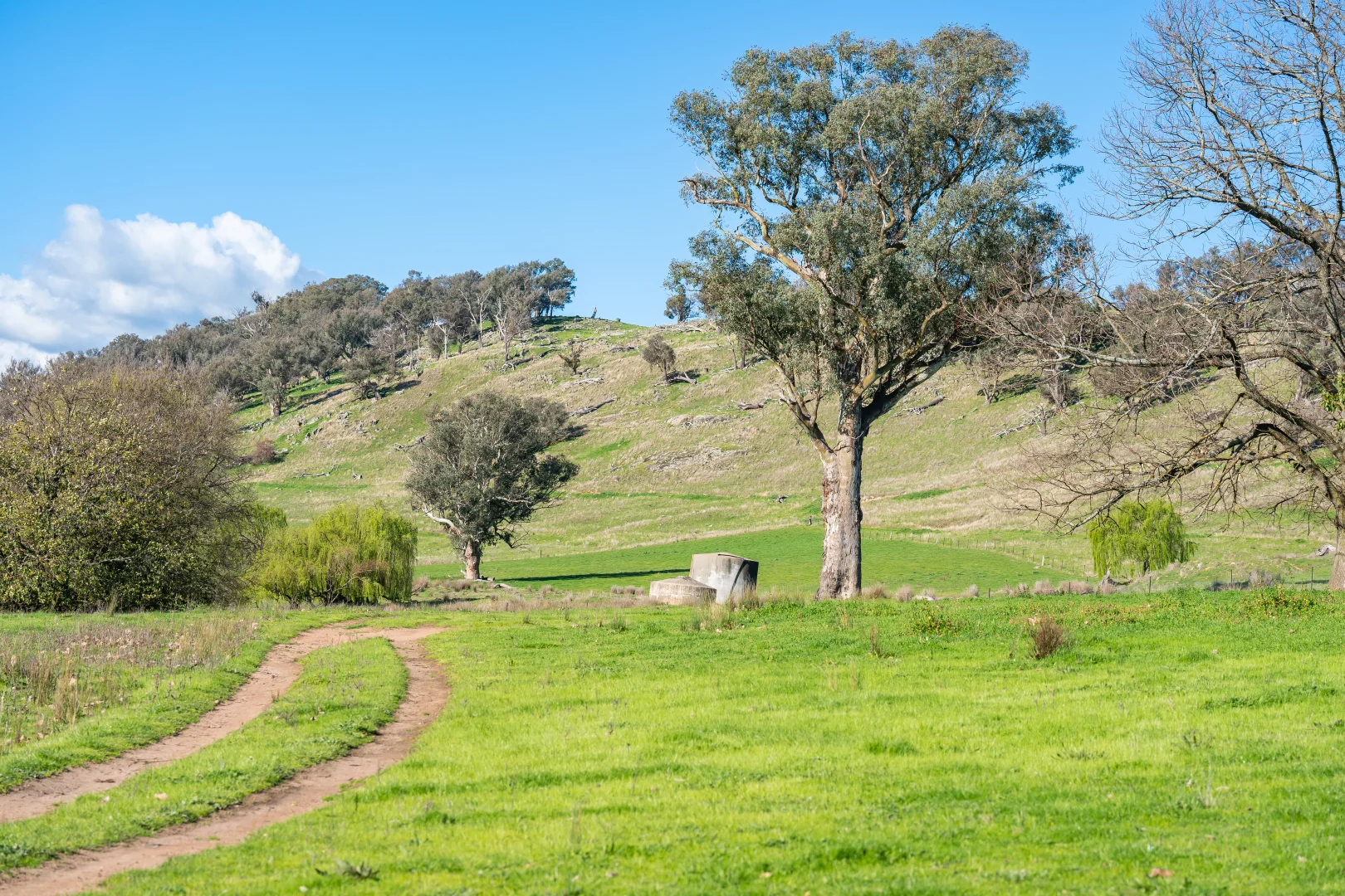 Additional image 23 of 2852 Shelley Road, Walwa VIC 3709