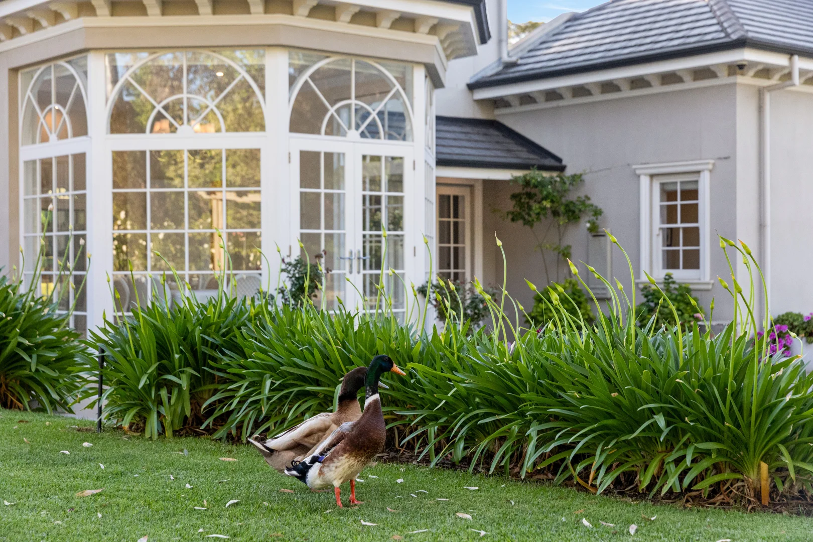 Additional image 19 of 488-500 Yatala Vale Road, Yatala Vale SA 5126