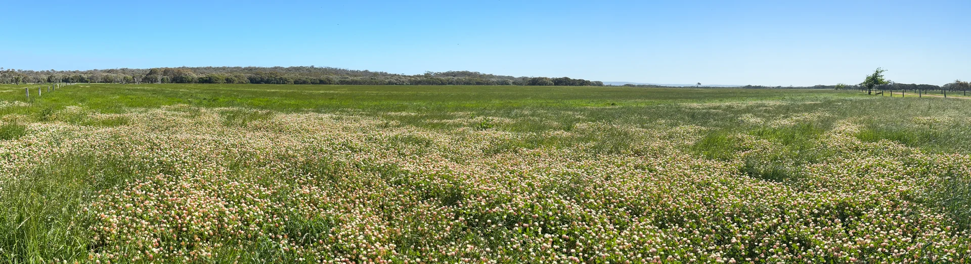 Additional image 6 of 1 & 1181 Scott River Road, Scott River WA 6288