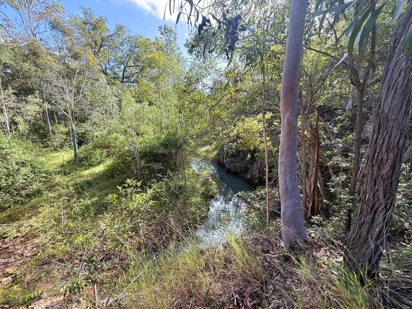 Additional image 4 of Lot 10/931 Nearum Road, Nearum QLD 4671
