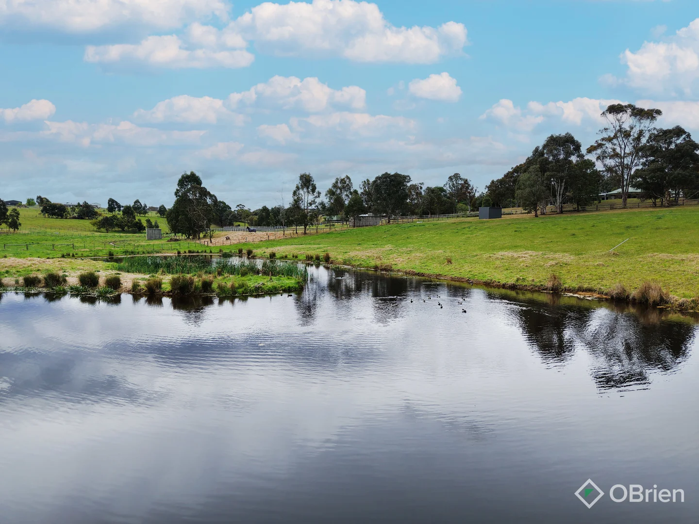 Additional image 2 of 50 Orrs Road, Lucknow VIC 3875