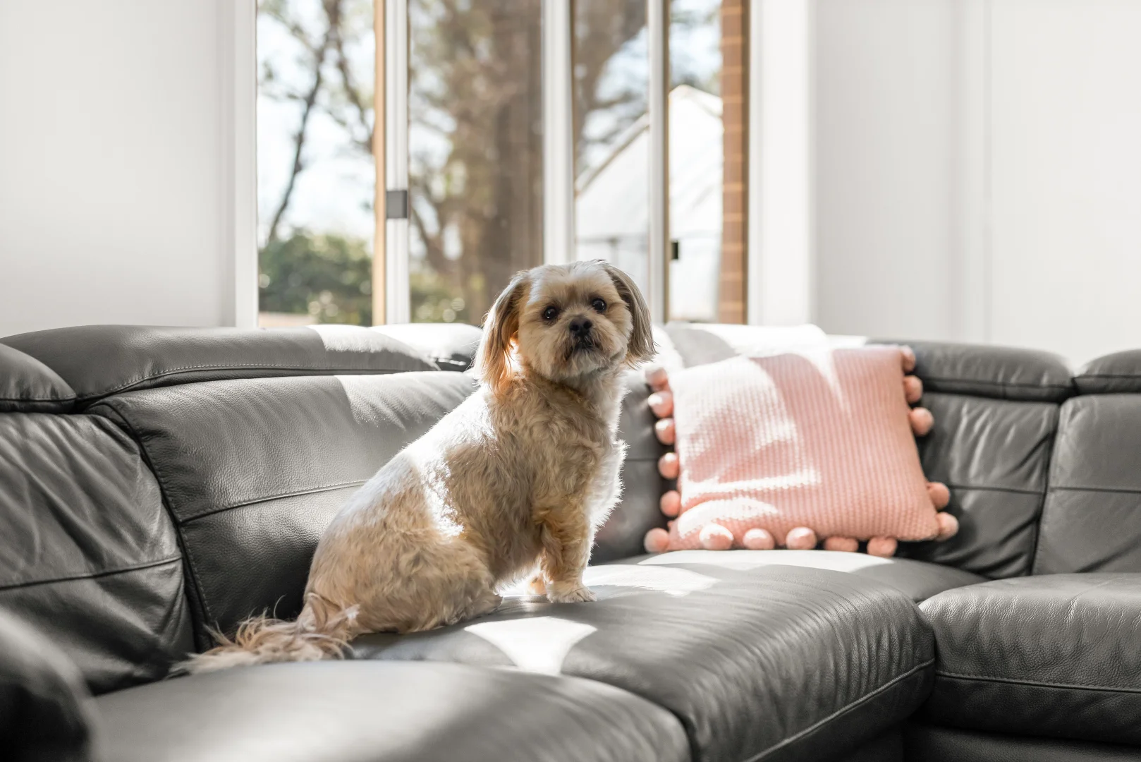 Additional image 20 of 48/70 Little River Road, Braidwood NSW 2622