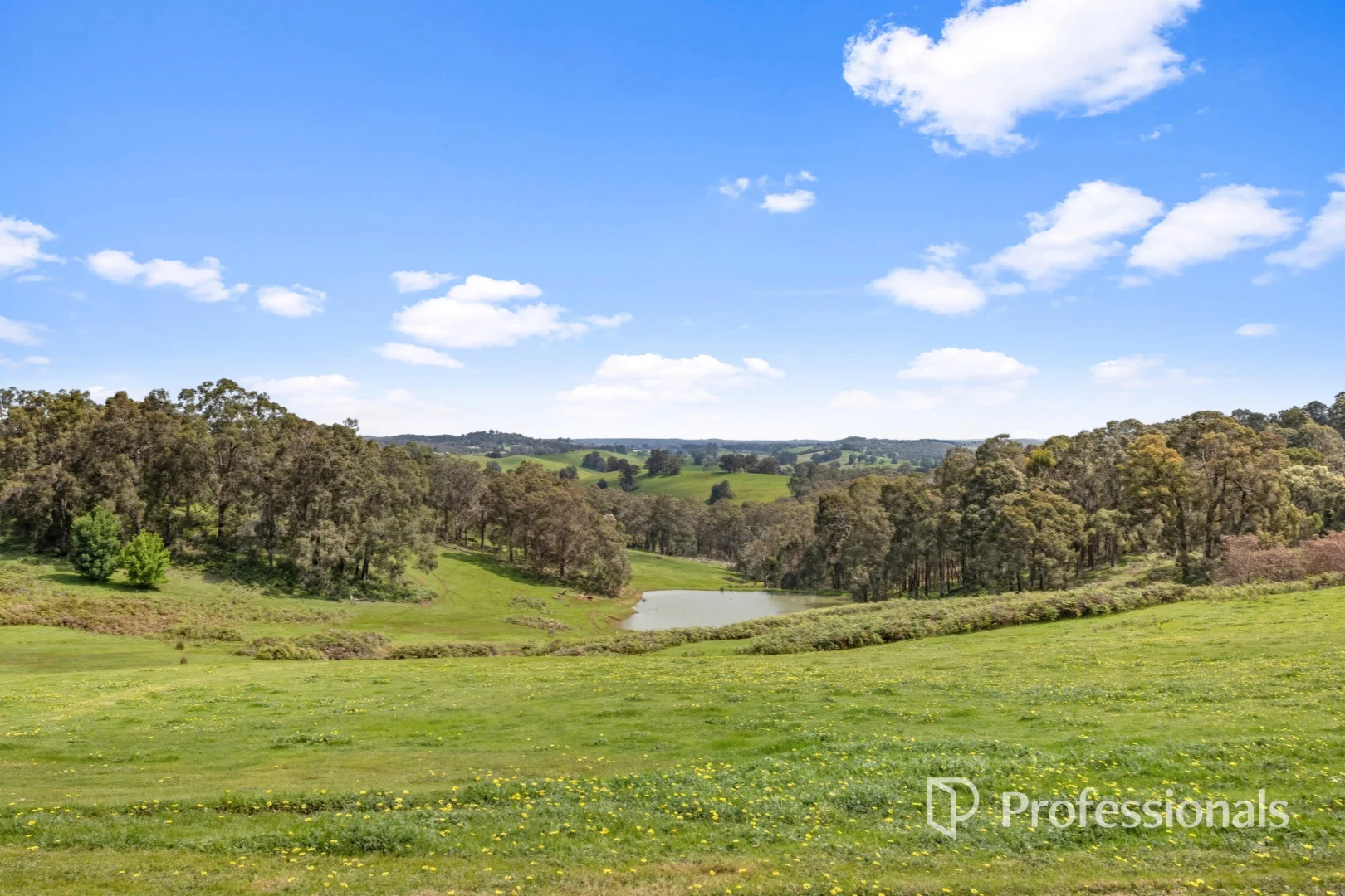 Additional image 30 of 1016 Charley Creek Road, Thomson Brook WA 6239