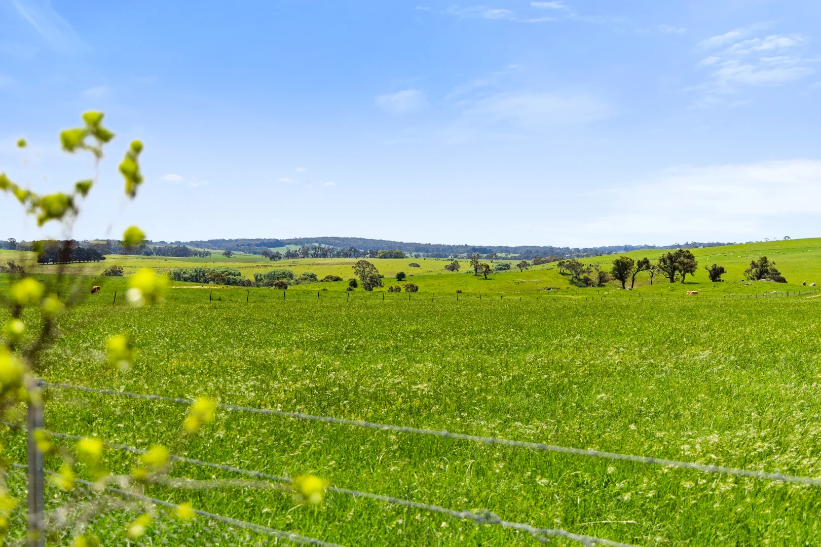 Additional image 63 of 192 Dawsons Creek Road Bannister Via, Crookwell NSW 2583