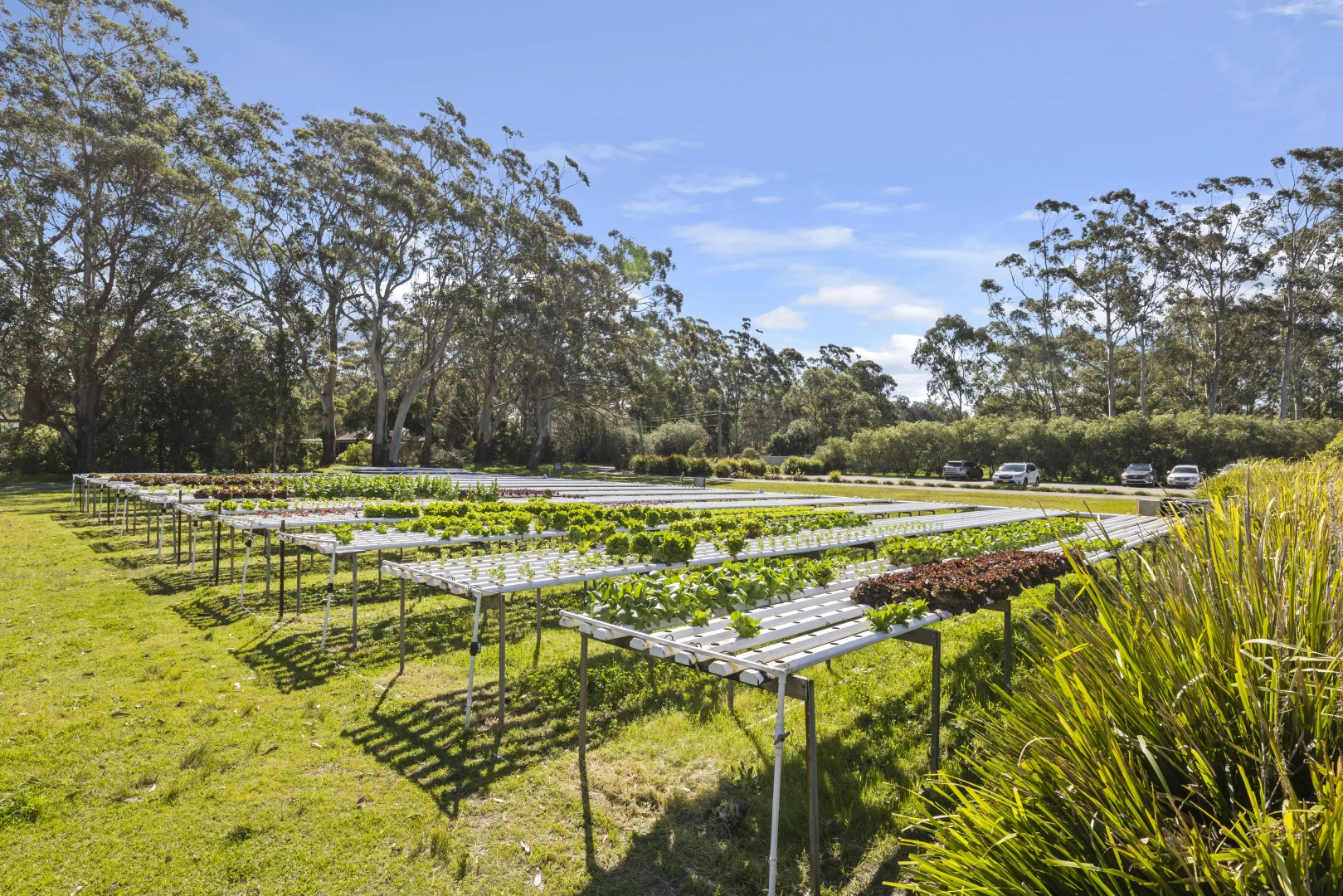 Additional image 16 of 476C Marsh Road, Bobs Farm NSW 2316