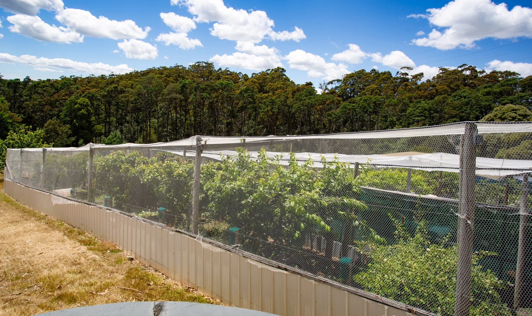 Additional image 10 of 1001 Holwell Road, Holwell TAS 7275