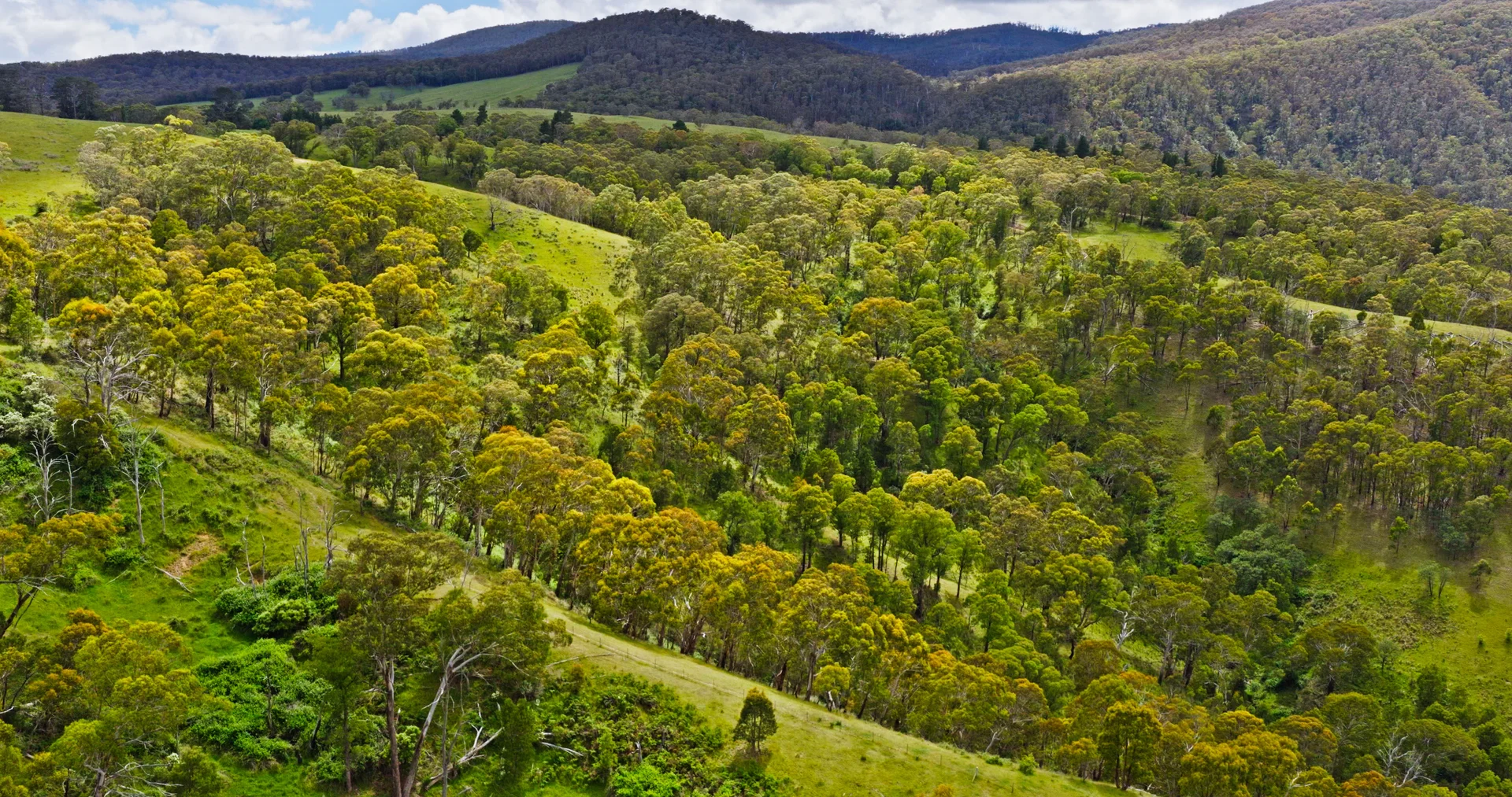 Additional image 22 of Lot 3 - 289 Tongio Gap Road, Tongio VIC 3896