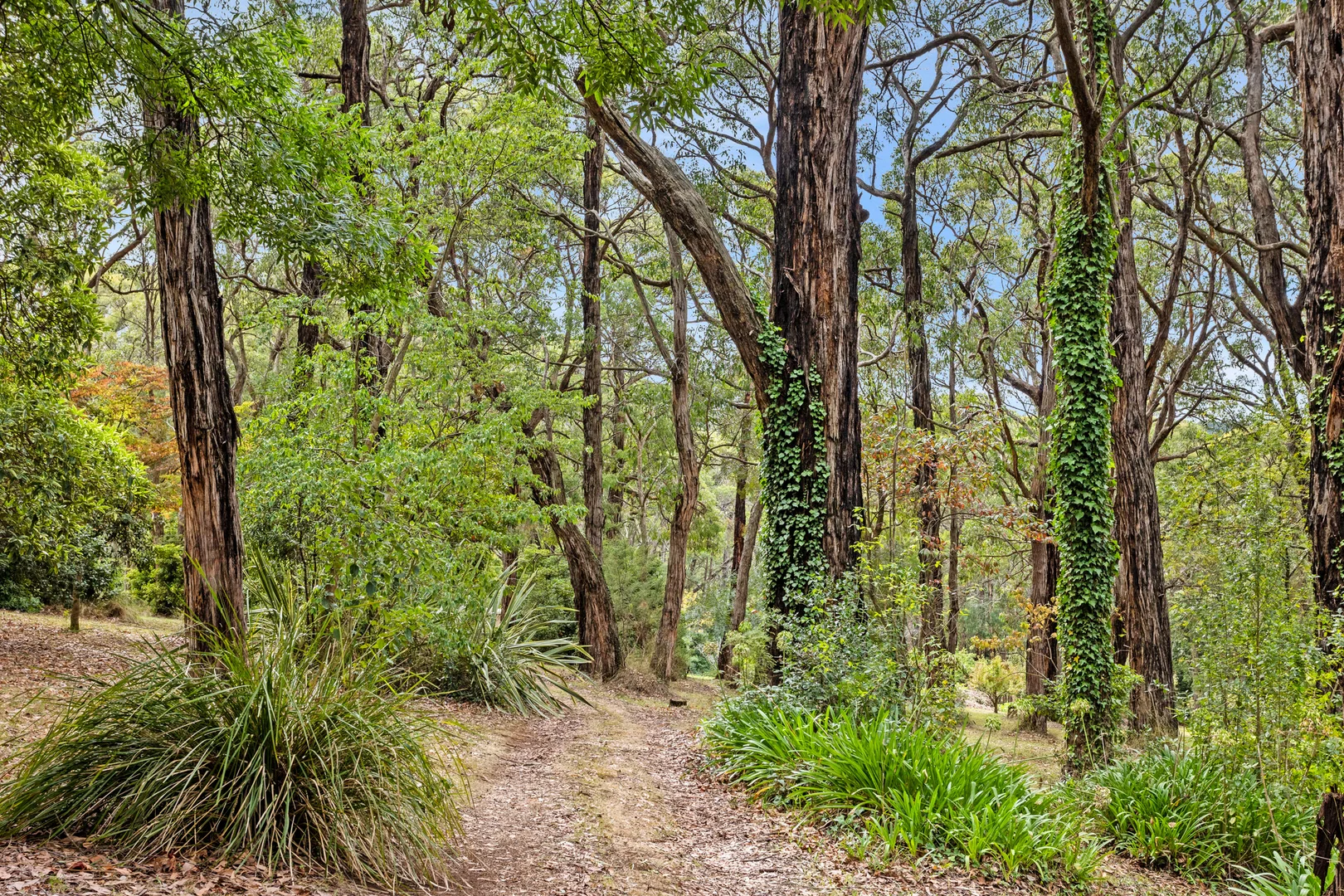 Additional image 15 of 209 Point Leo Road, Red Hill South VIC 3937