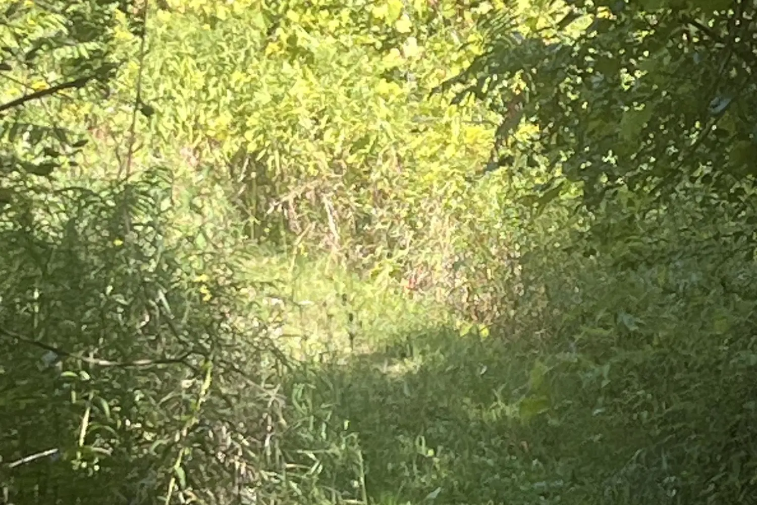 Additional image 17 of 15598 County Road 2 Road