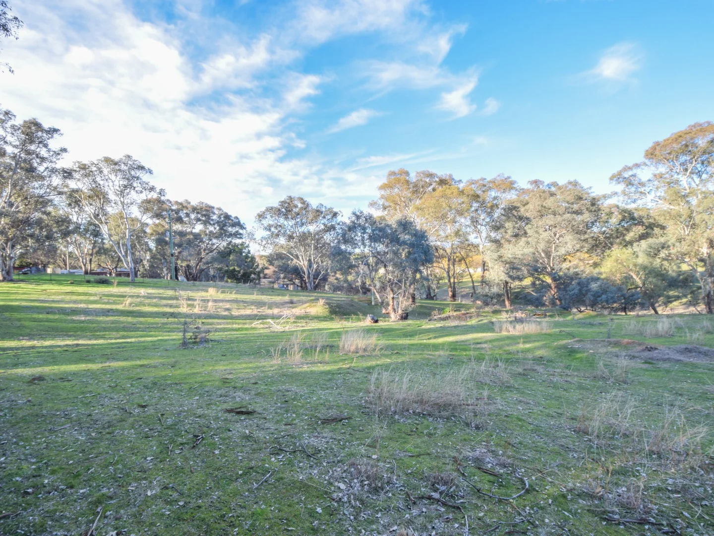 Additional image 7 of 21 Dairymans Lane, Young NSW 2594
